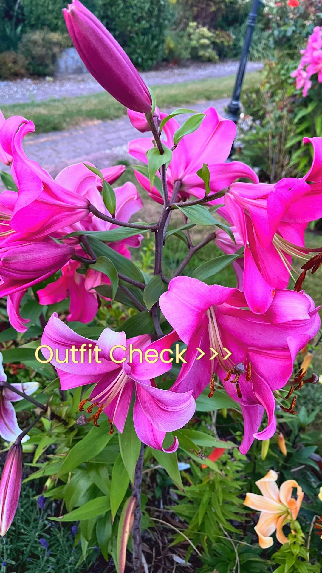 @hannal85