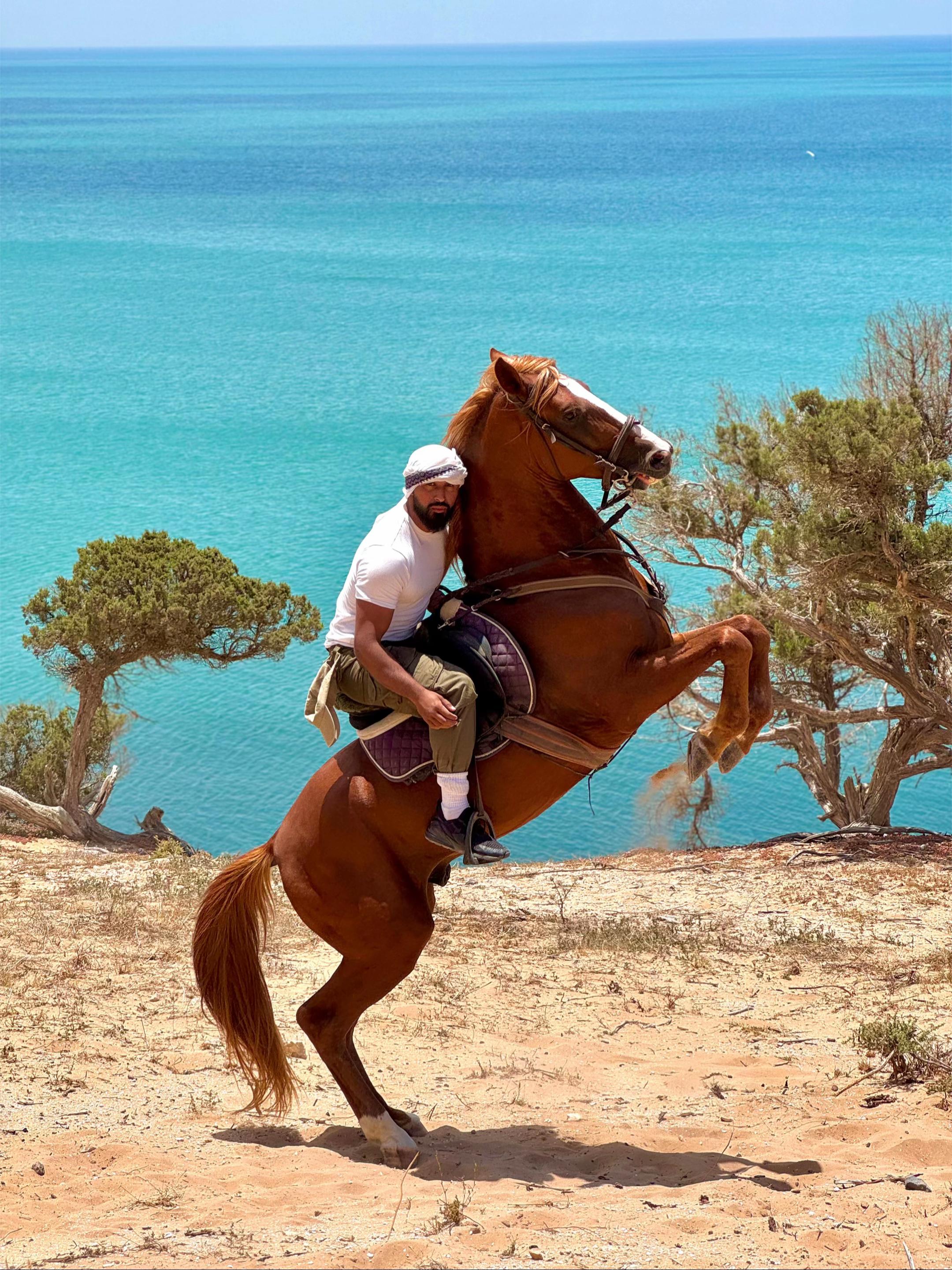 @Gorillahasan