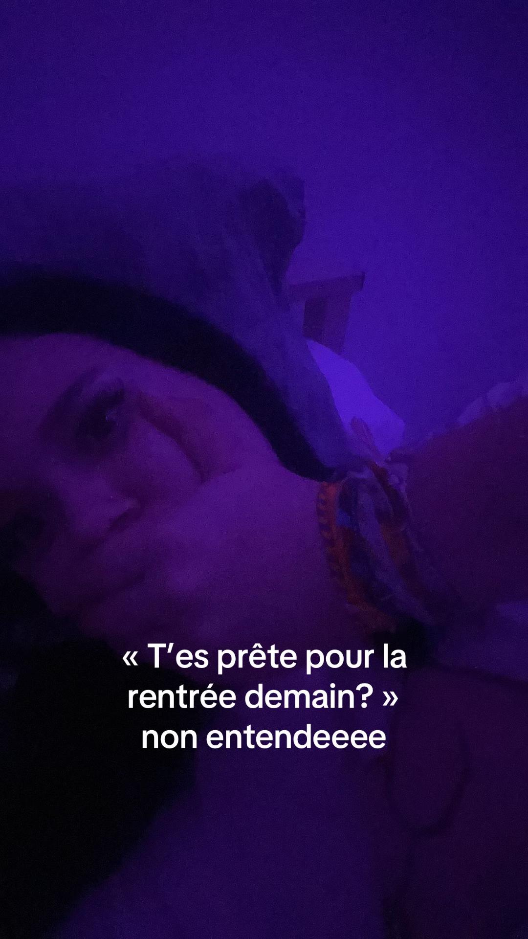 @usermila