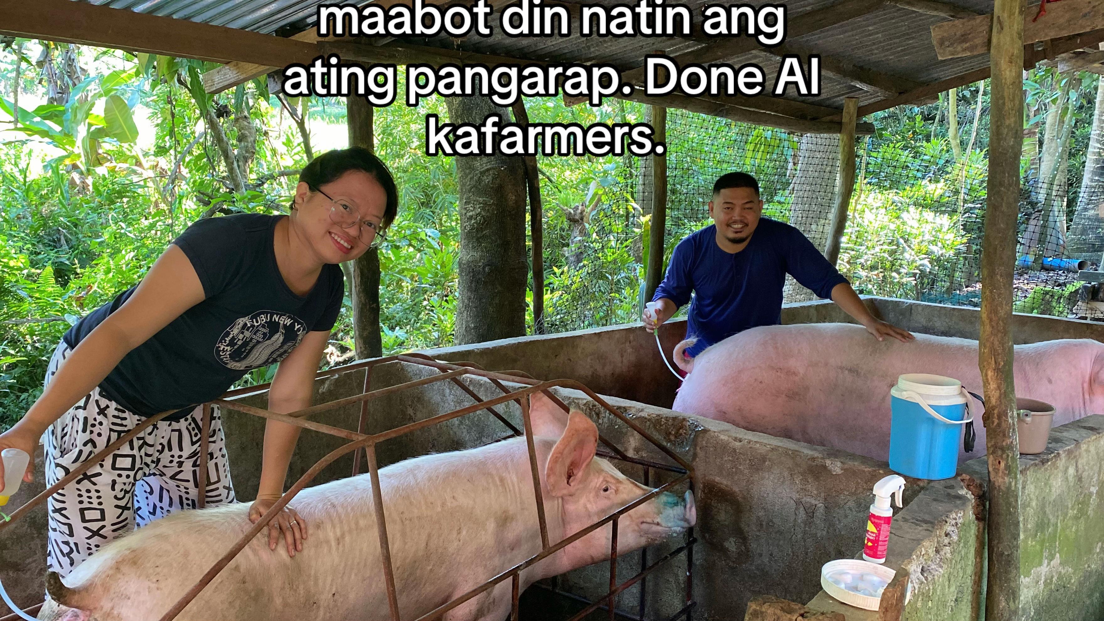 @Marj Pig Farm Vlogs