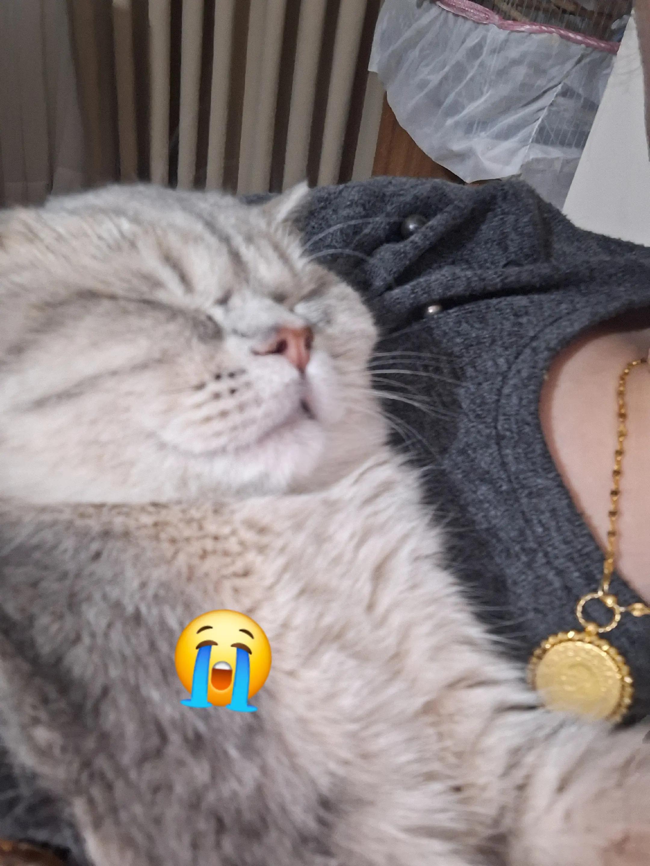 @Gülcan Esma Gümüş