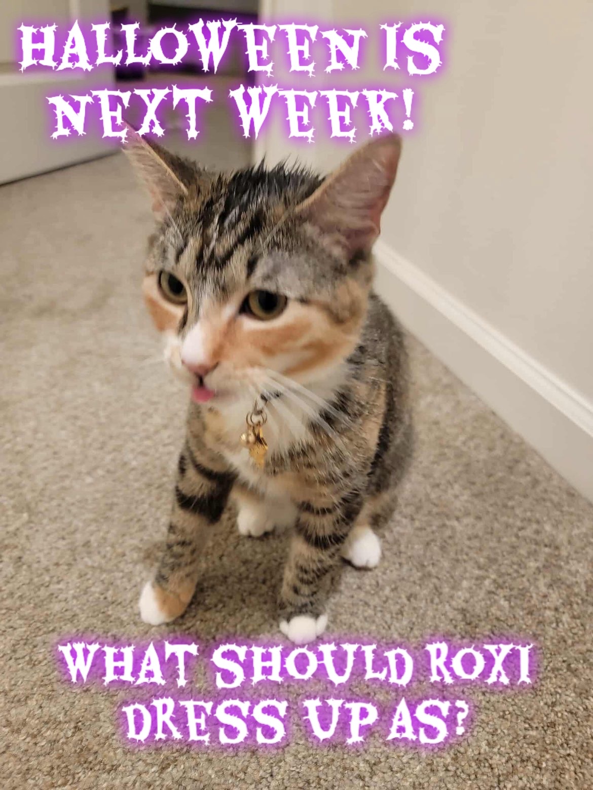 @🌟Roxi🌟
