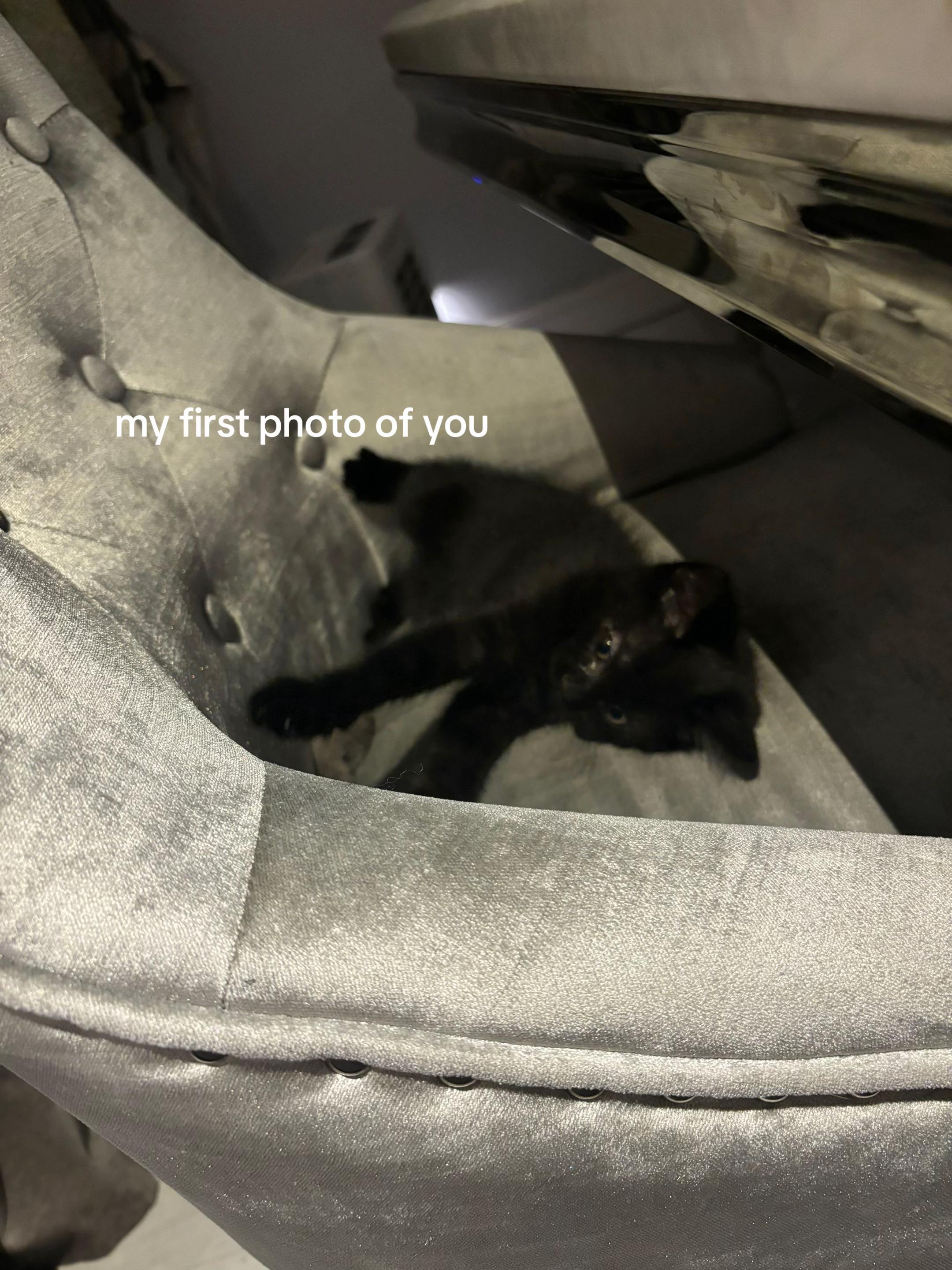 @sophie 𝜗ৎ
