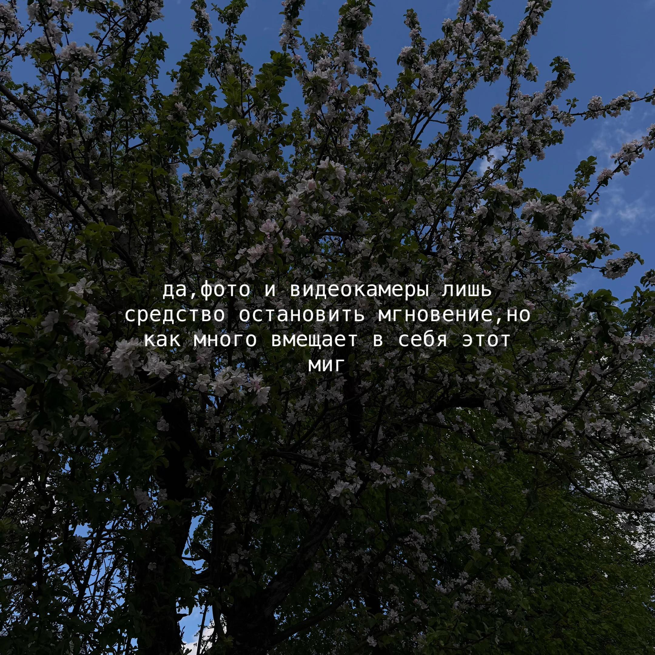 @сашула