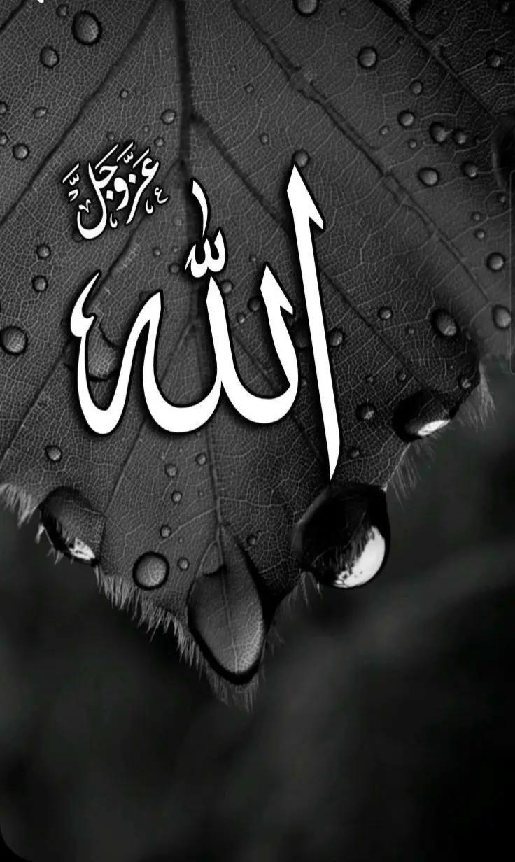 @HOLY QURAN ❤