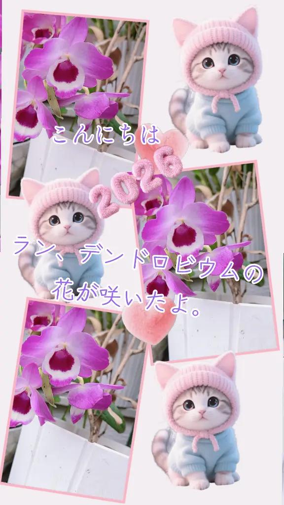 @宮尾美江