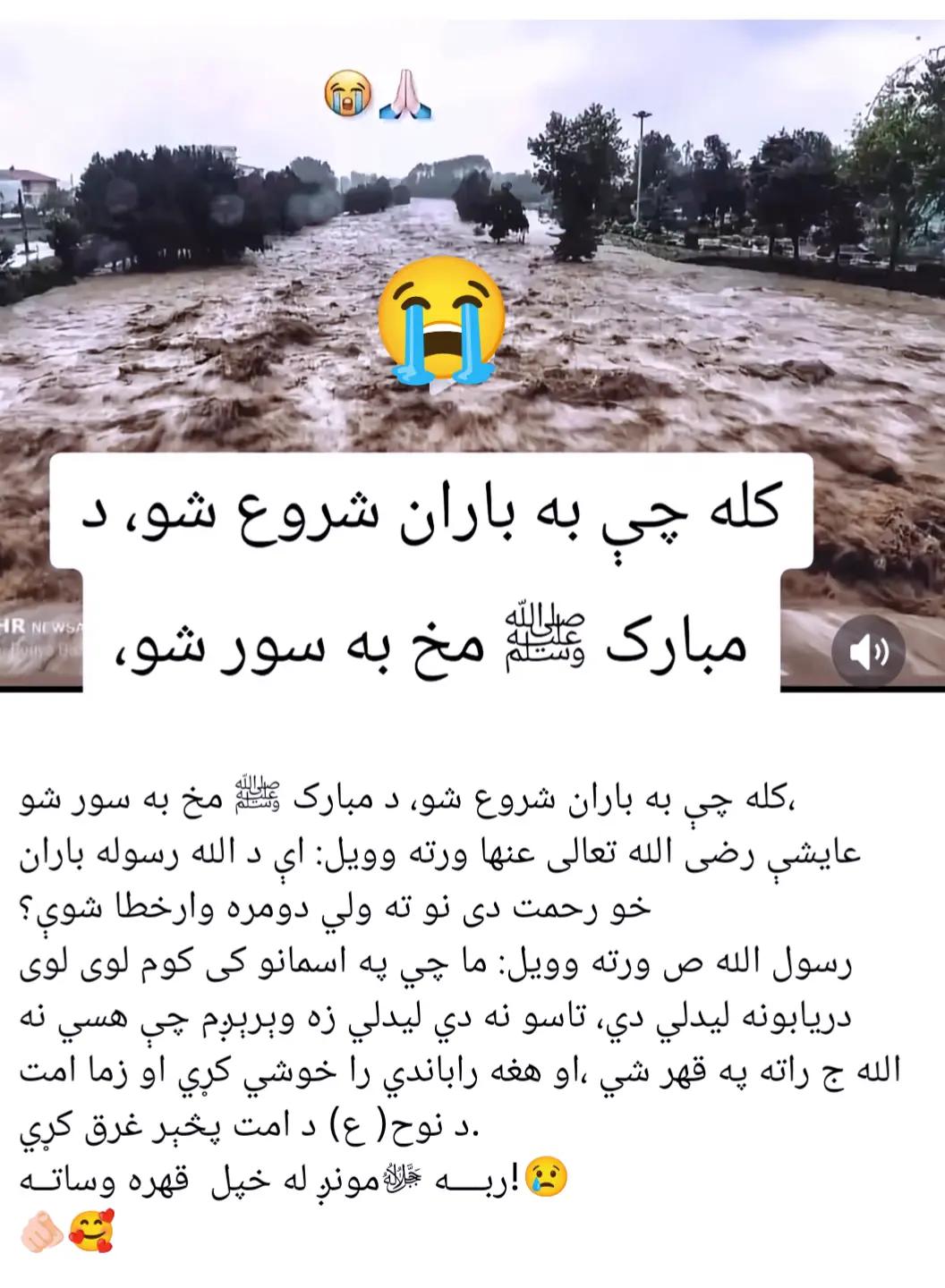 @Amjadafridi