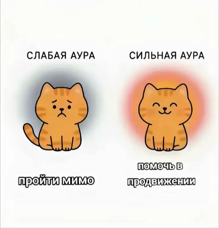 @тг: Чудесности свити ✨
