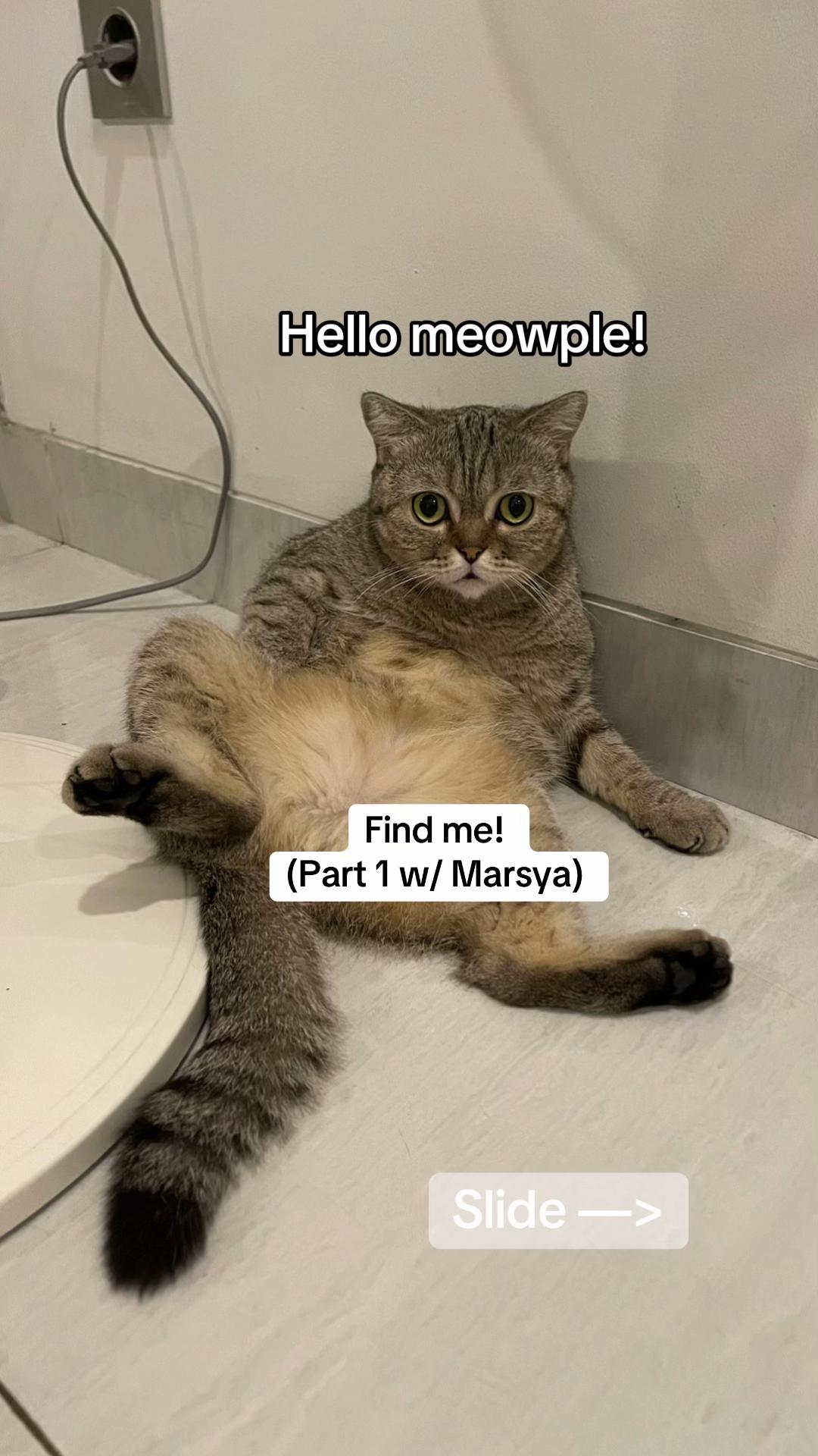 @OxaliStore