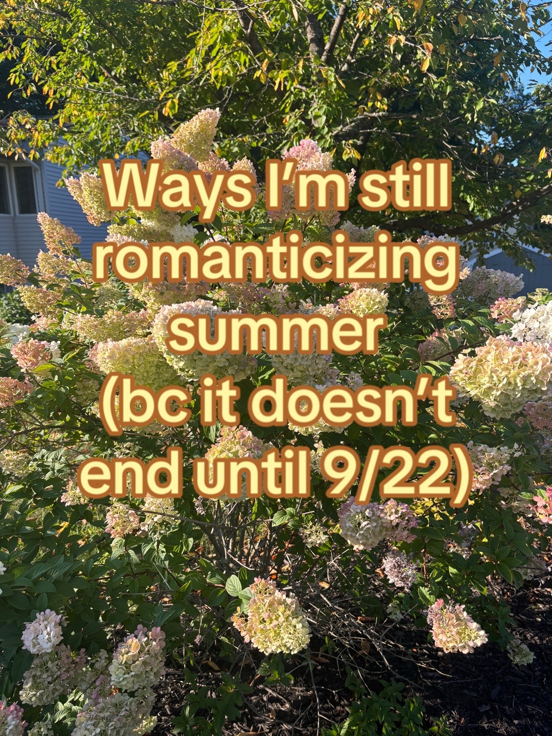 @Jen 🌻🌙🌊