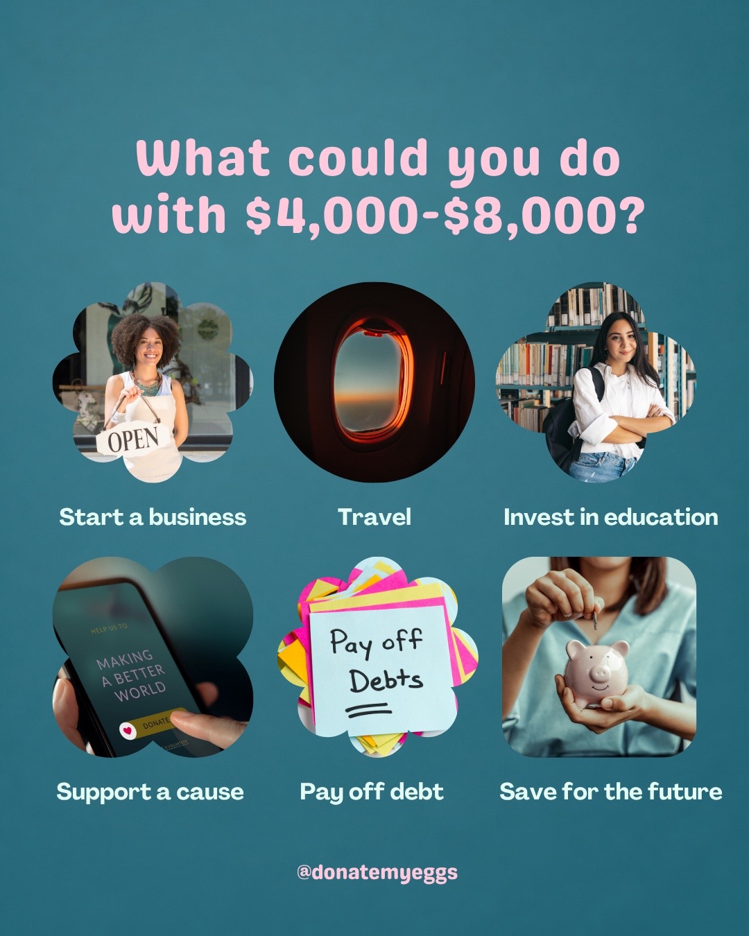 @DonateMyEggs