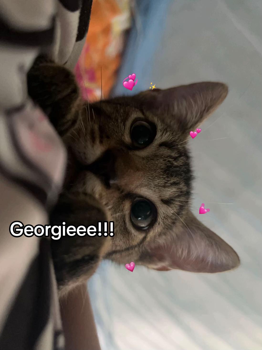 @𝒞𝒶𝓇𝑜𝓁𝒾𝓃𝒶 𝓇