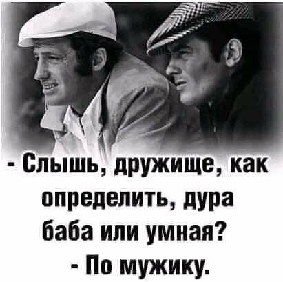 @Ludmila B