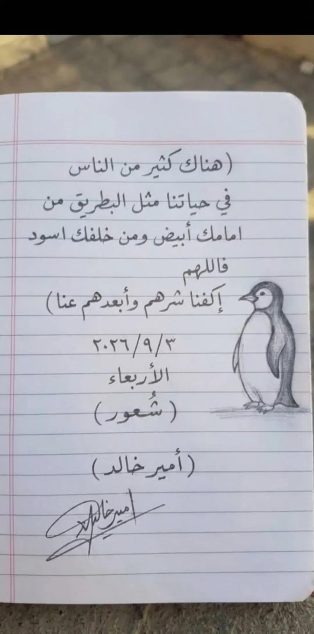 @آميـــر خالد_Amir Khaled⛎