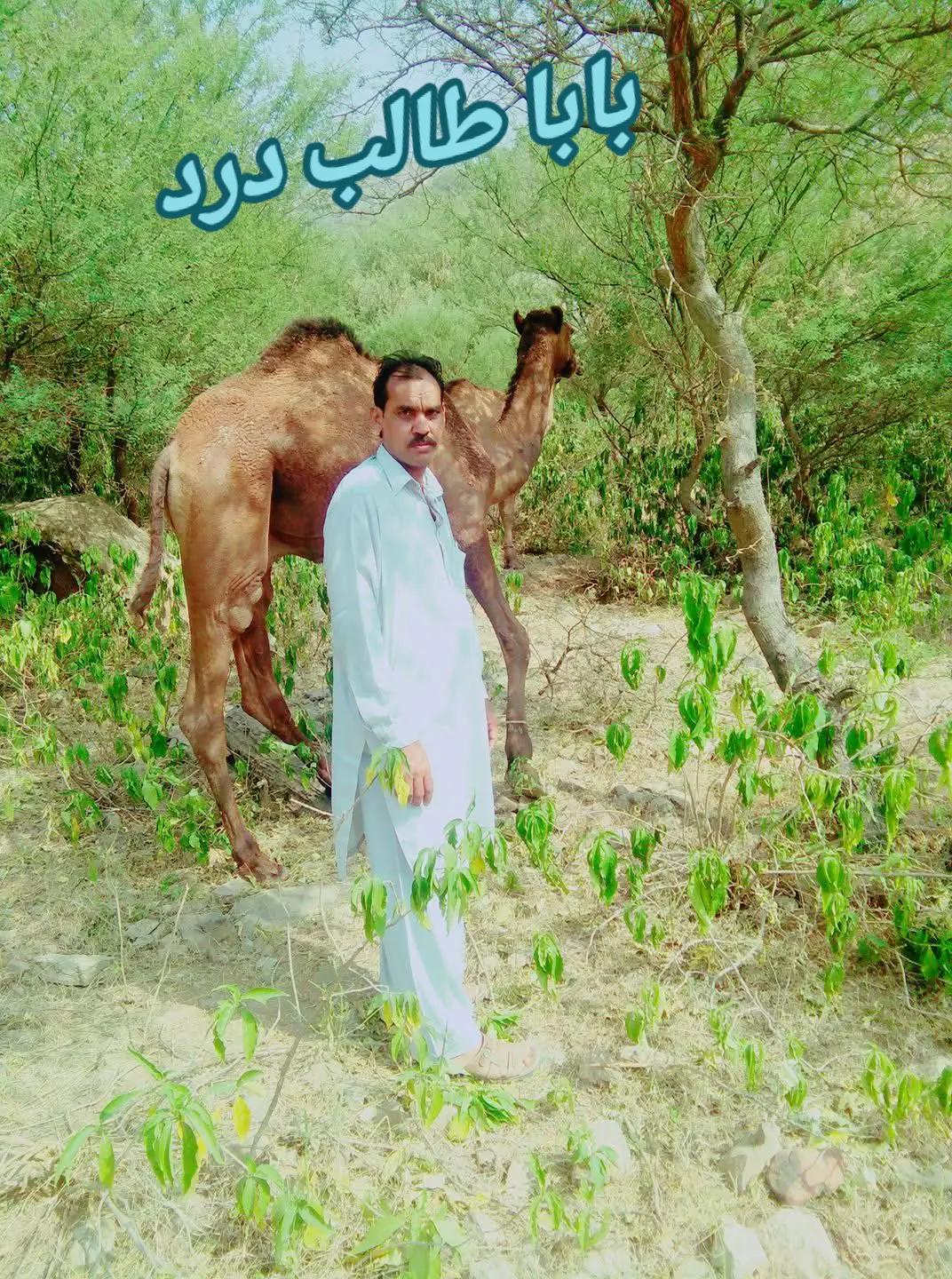 @MOHMMAD MANSHA پنڈ دادنخان