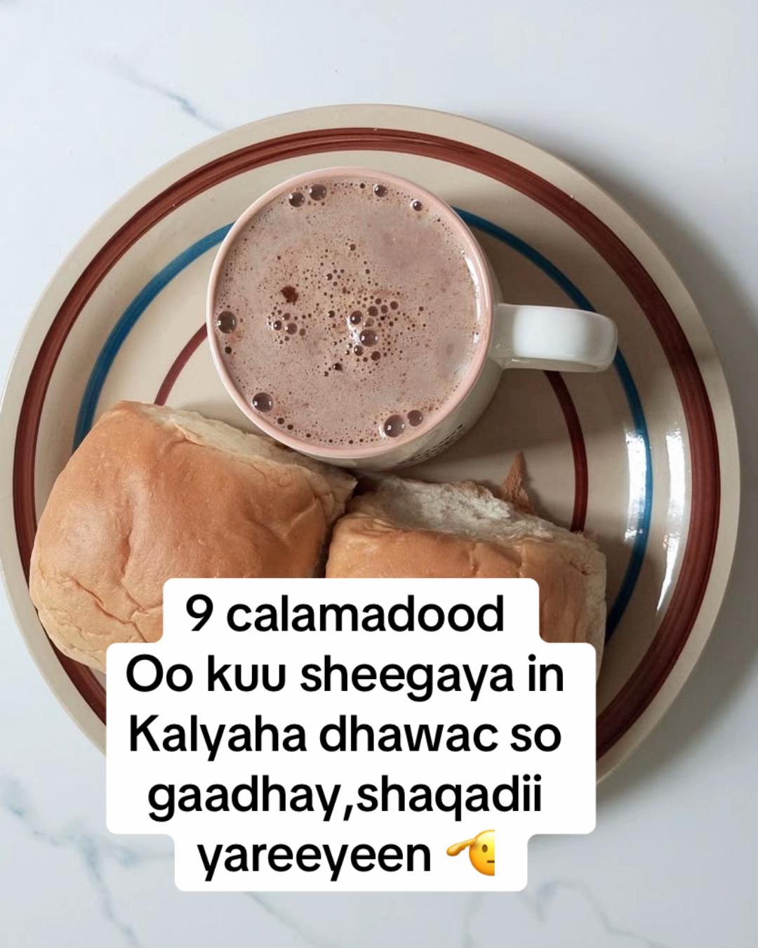 @ayaanali920