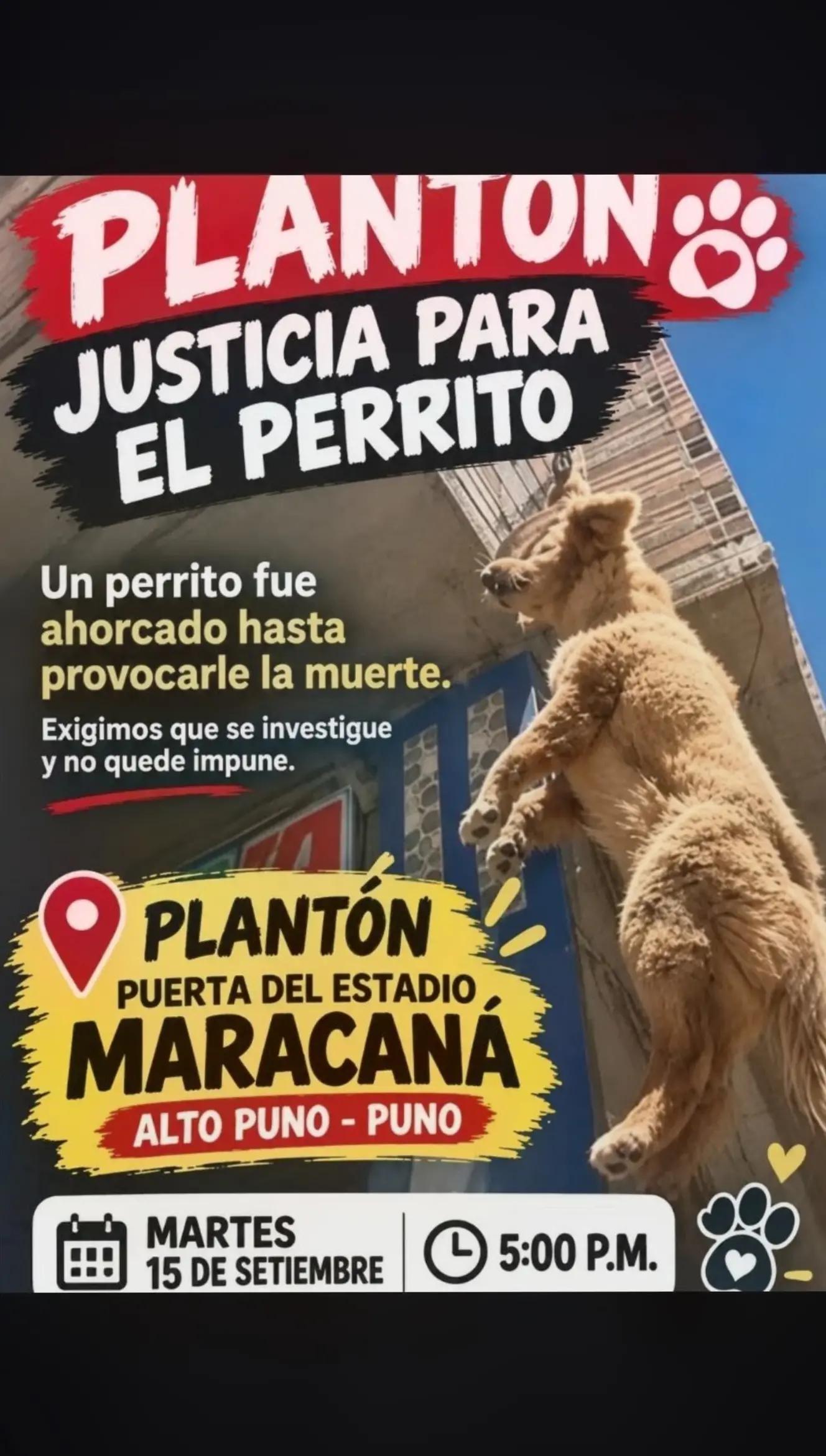 @Rómulo cuellar