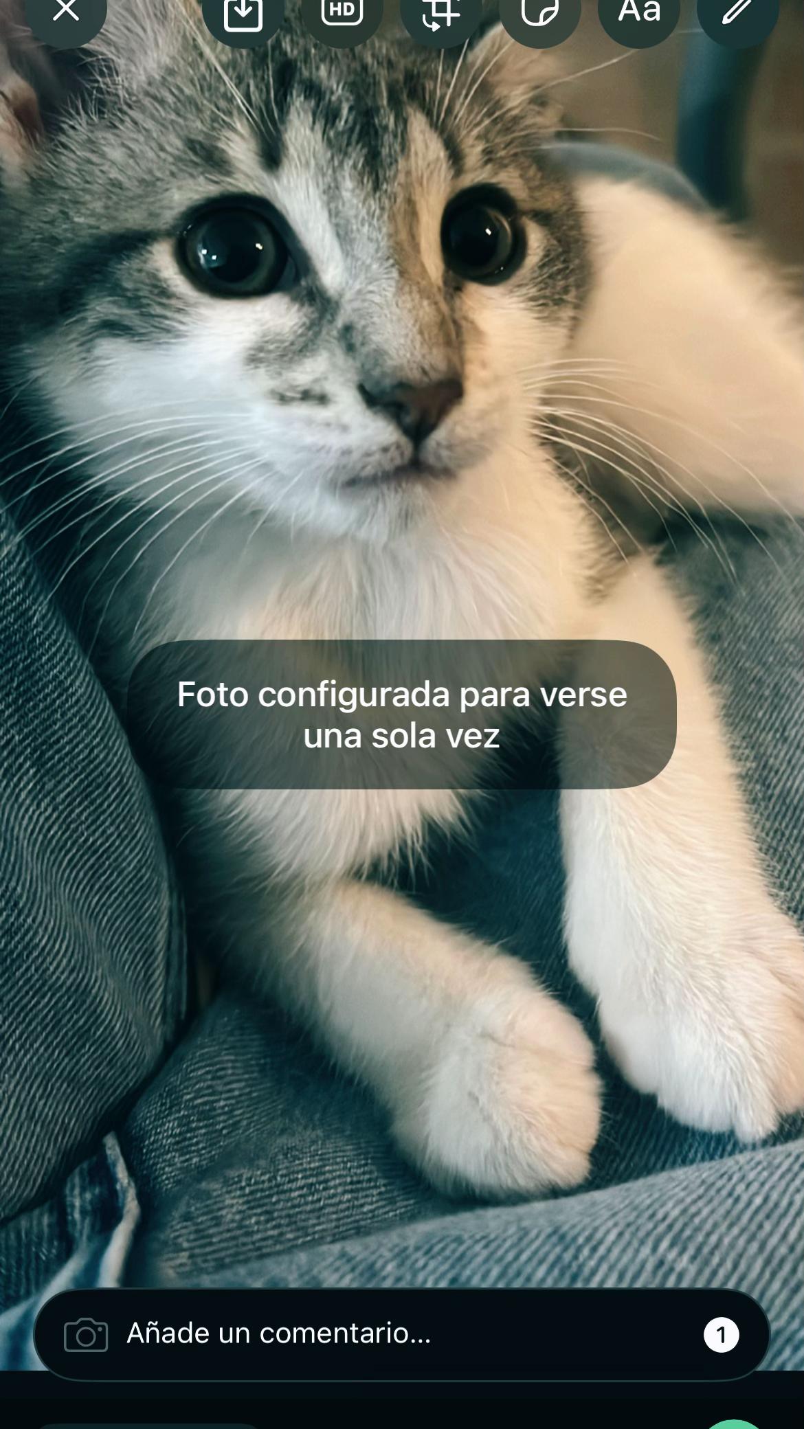 @kati