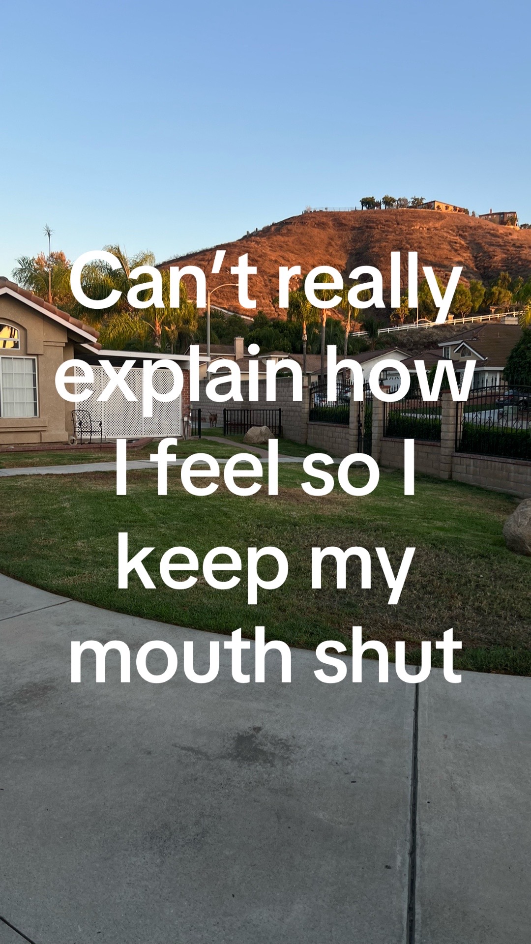 @&iquest;