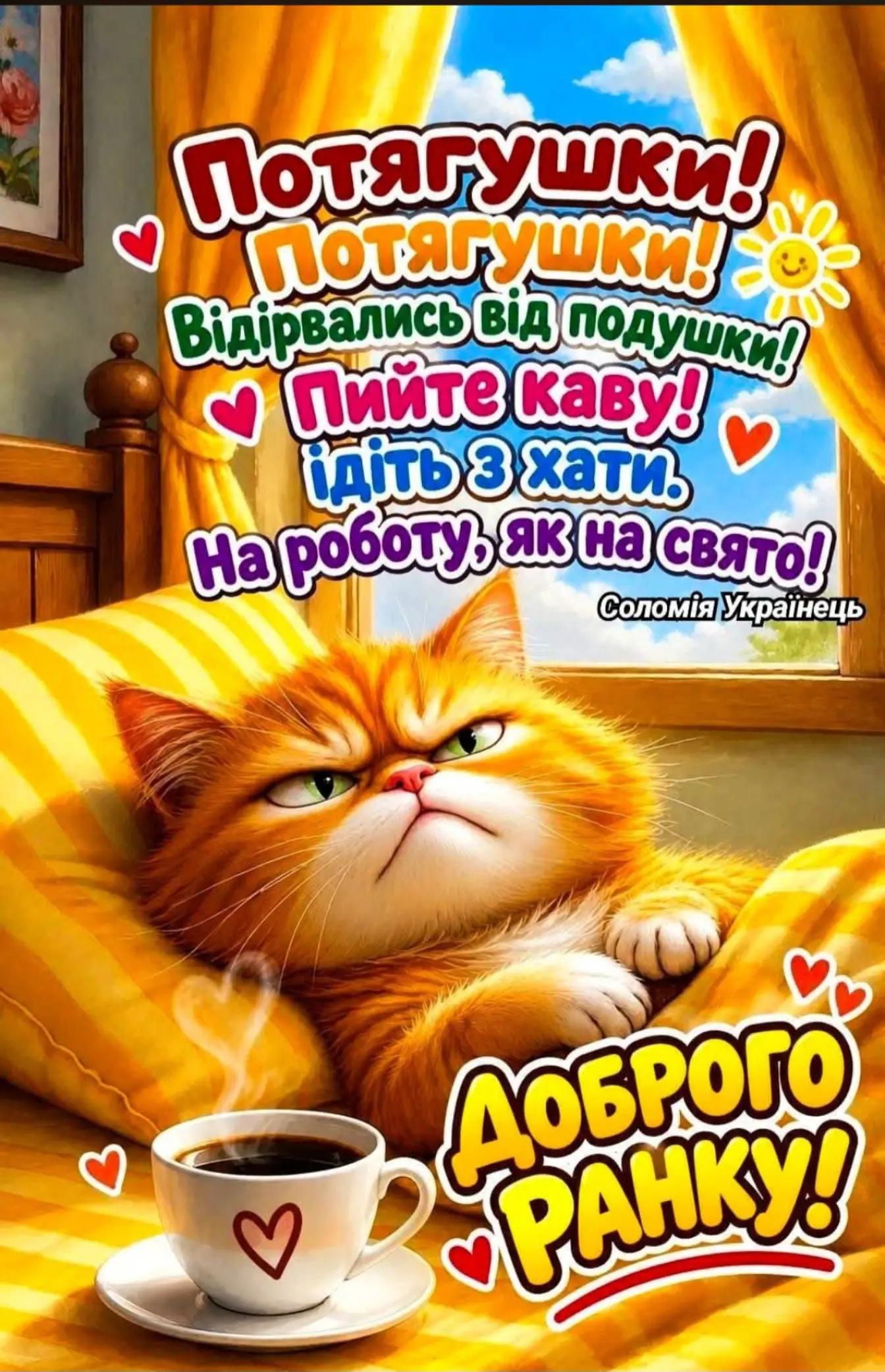 @Мария Ореховская