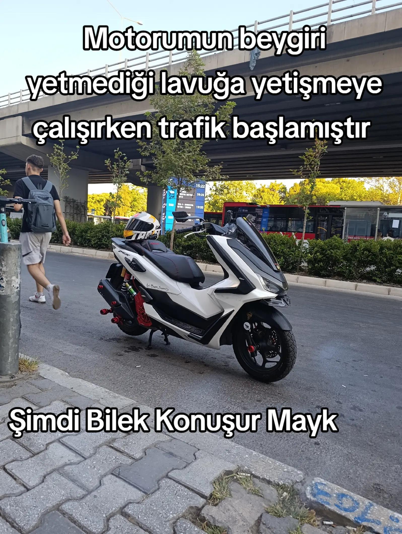 @İlayda Adnan Canavar