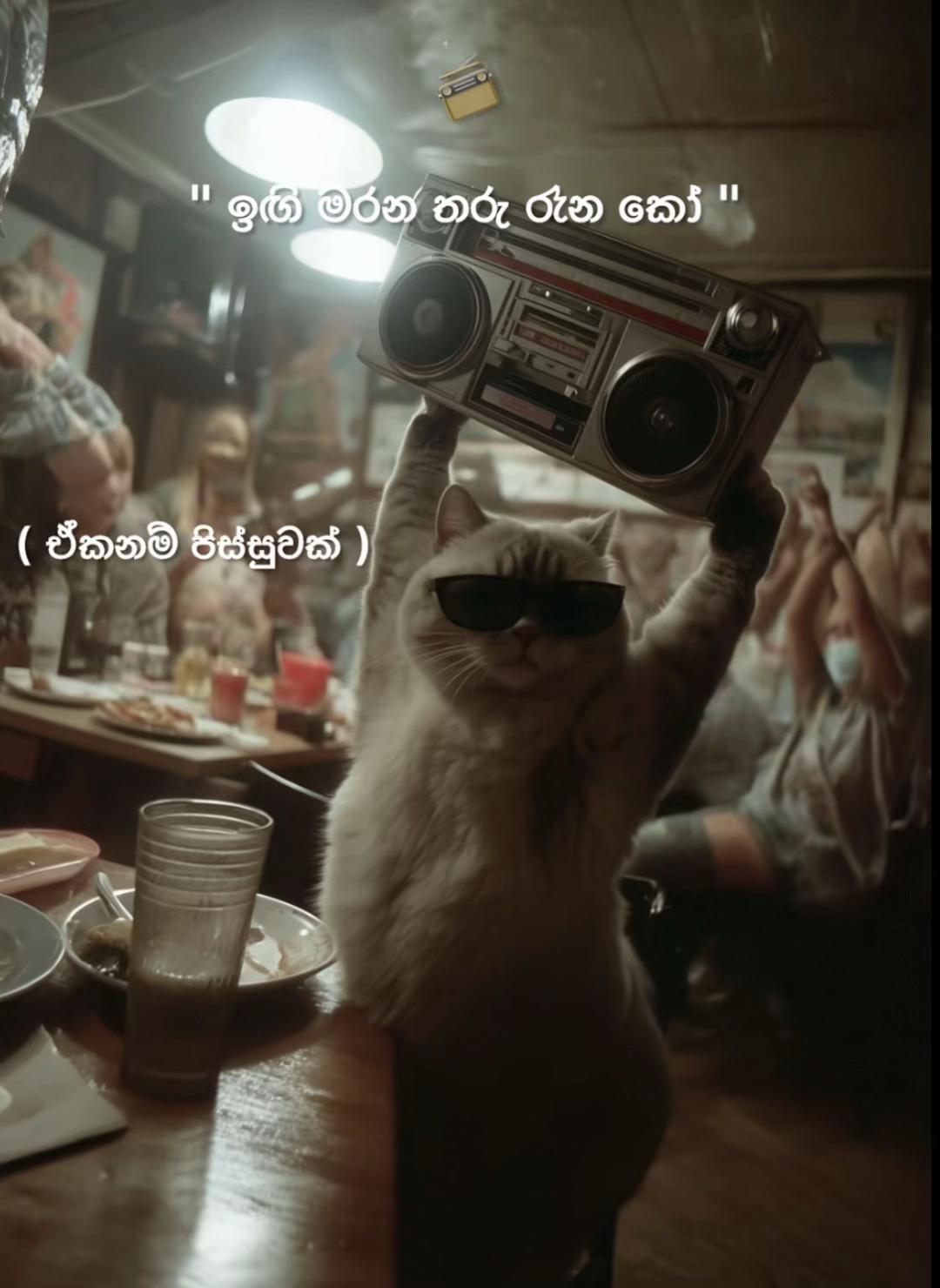 @๋์ฌ๋ผ๐