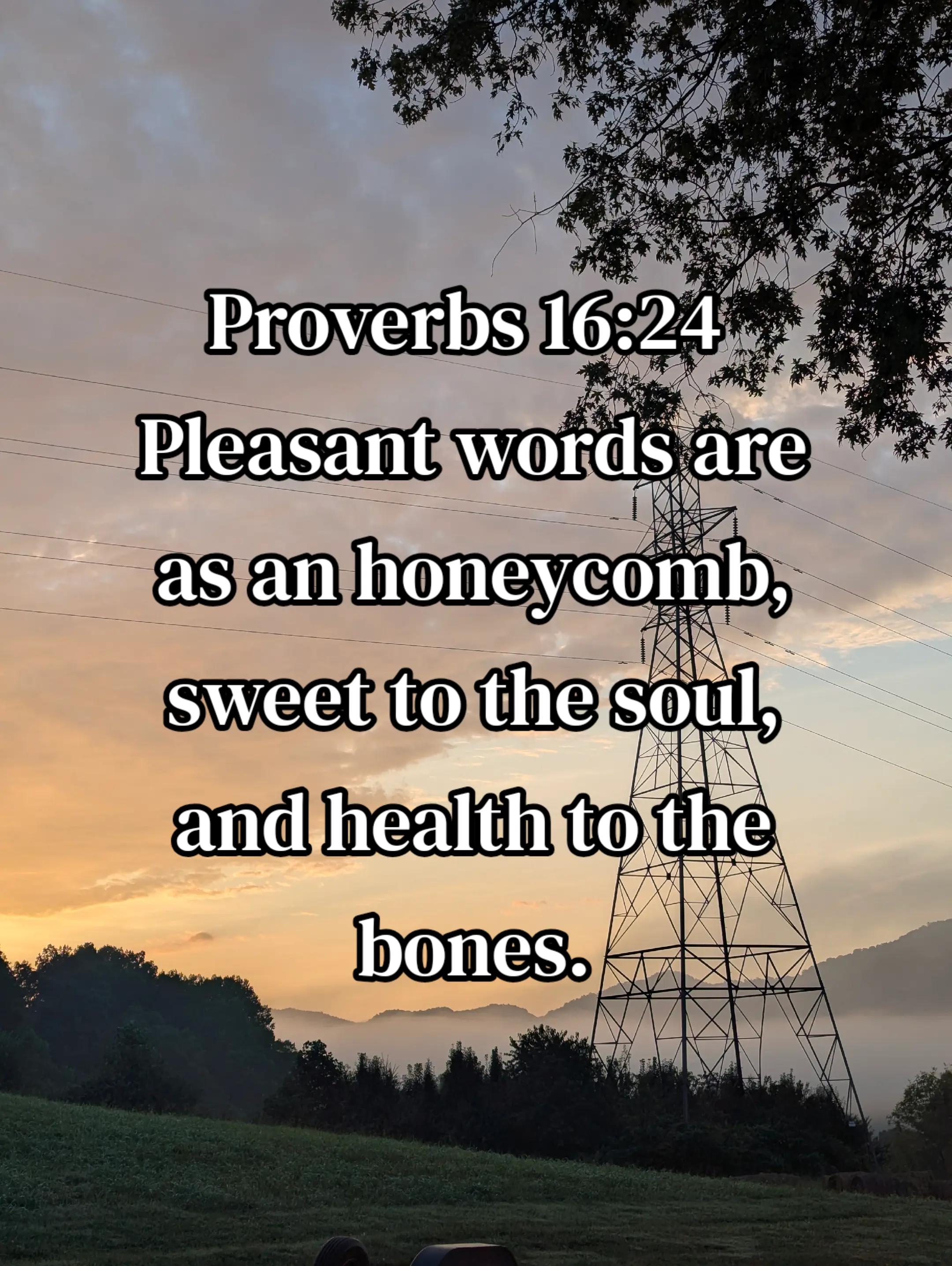 @PeaceBeStill