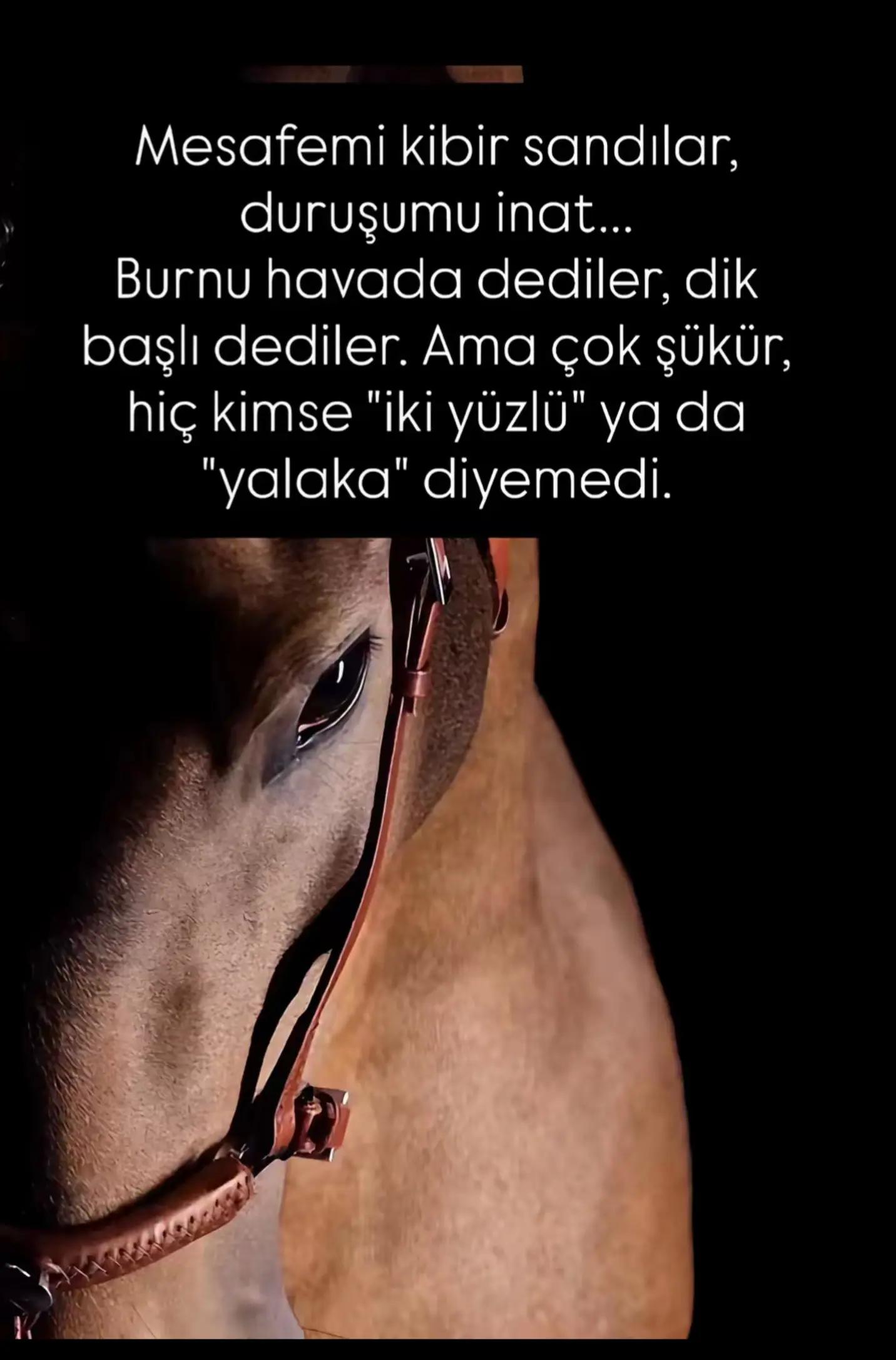 @Umut Şen