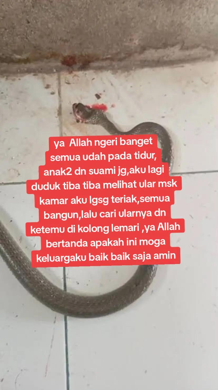 @mamahnya angga