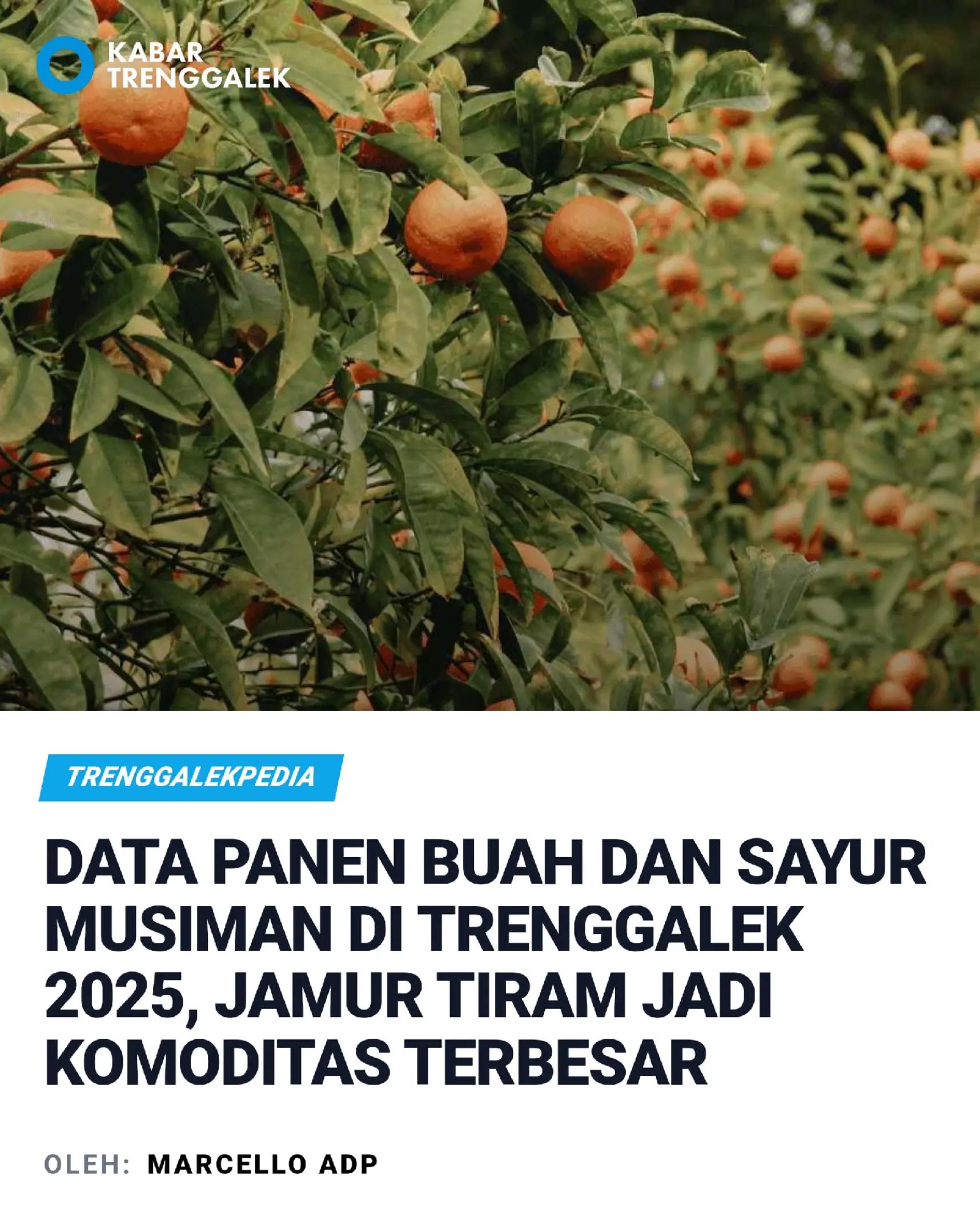 @Kabar Trenggalek