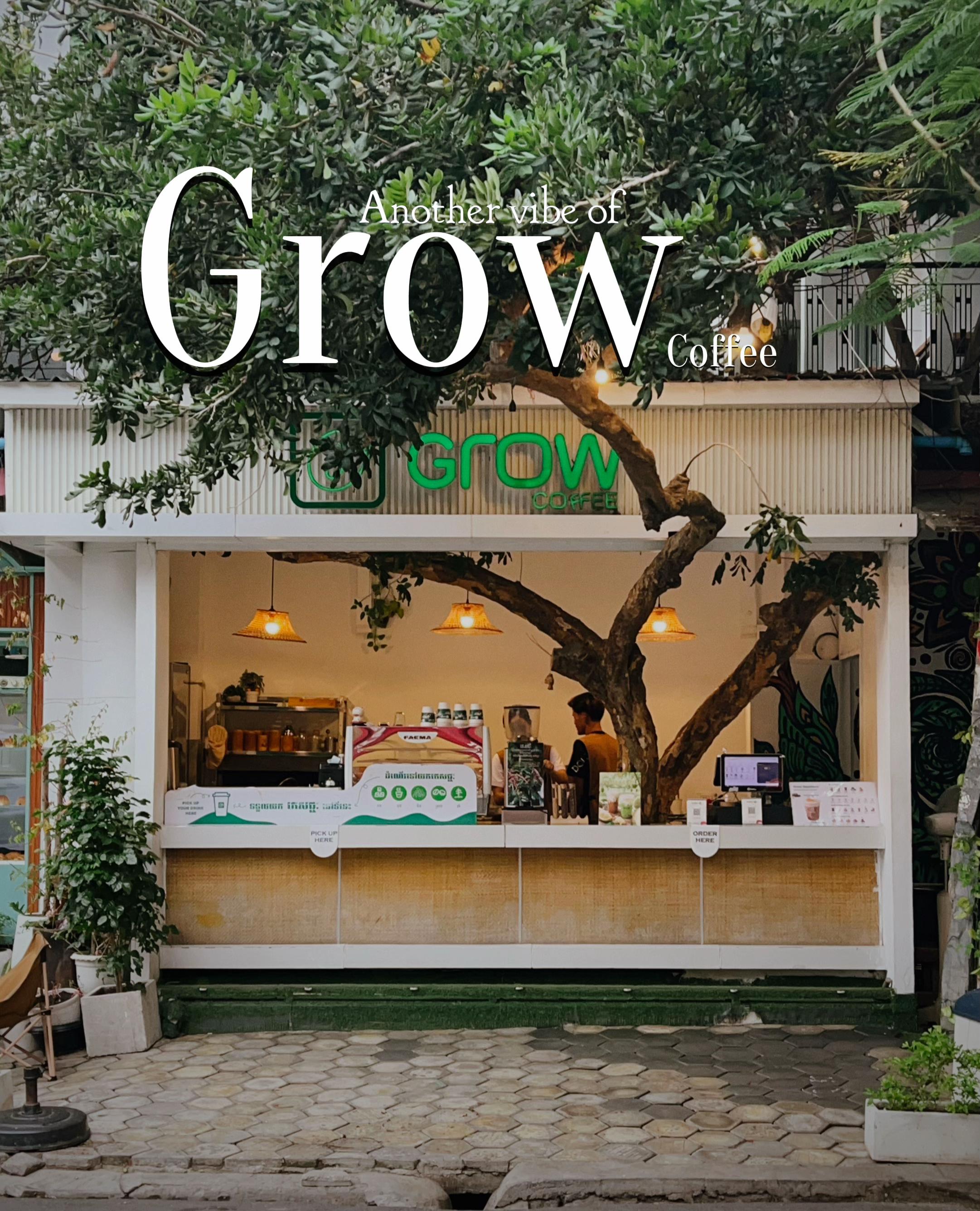 @grow.coffee.bkk1.branch