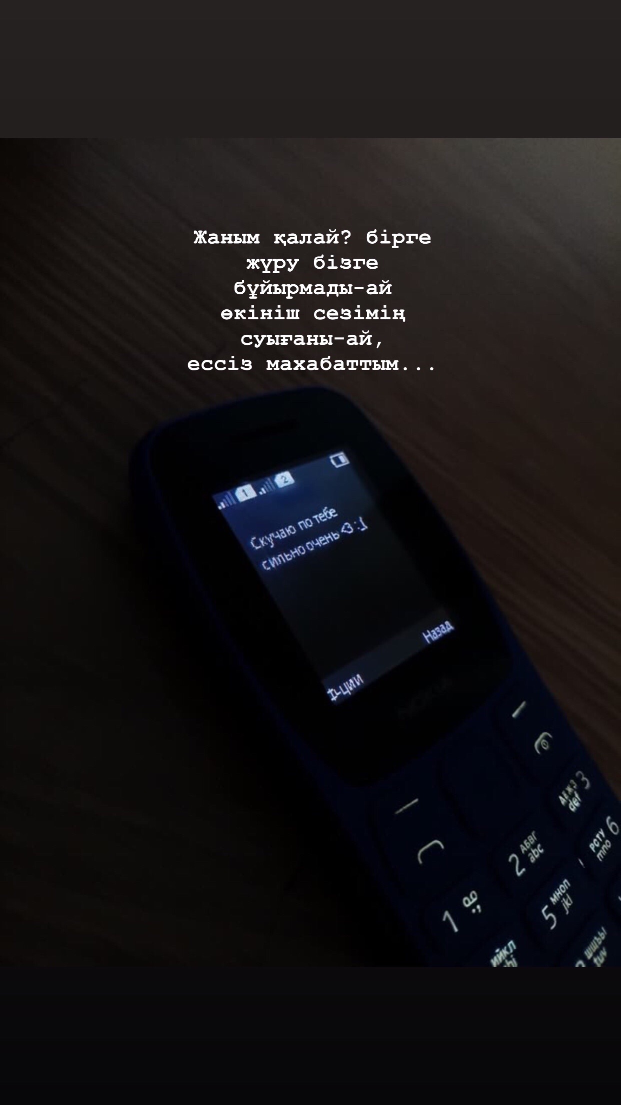@sonq1l