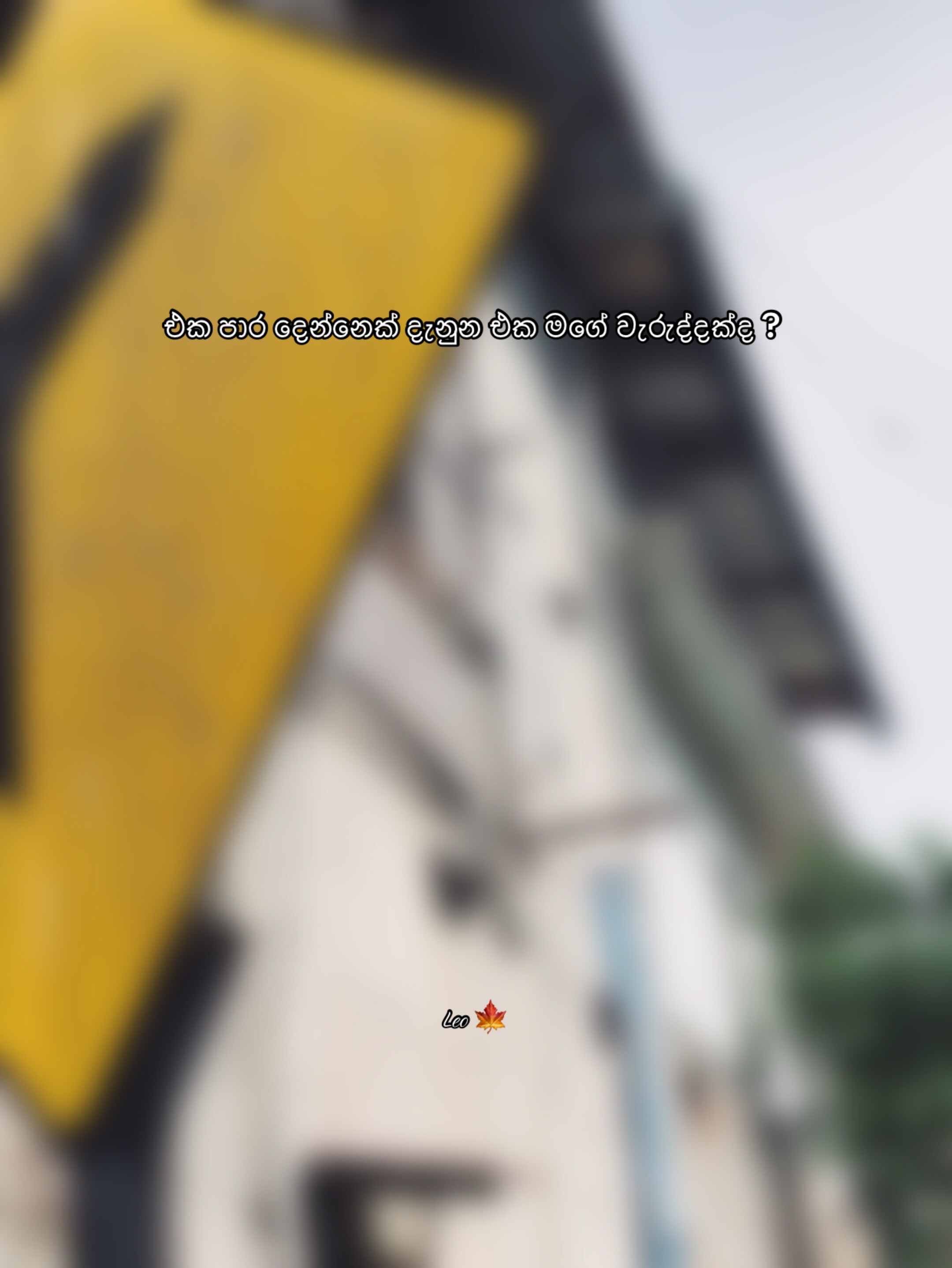 @leo.u09