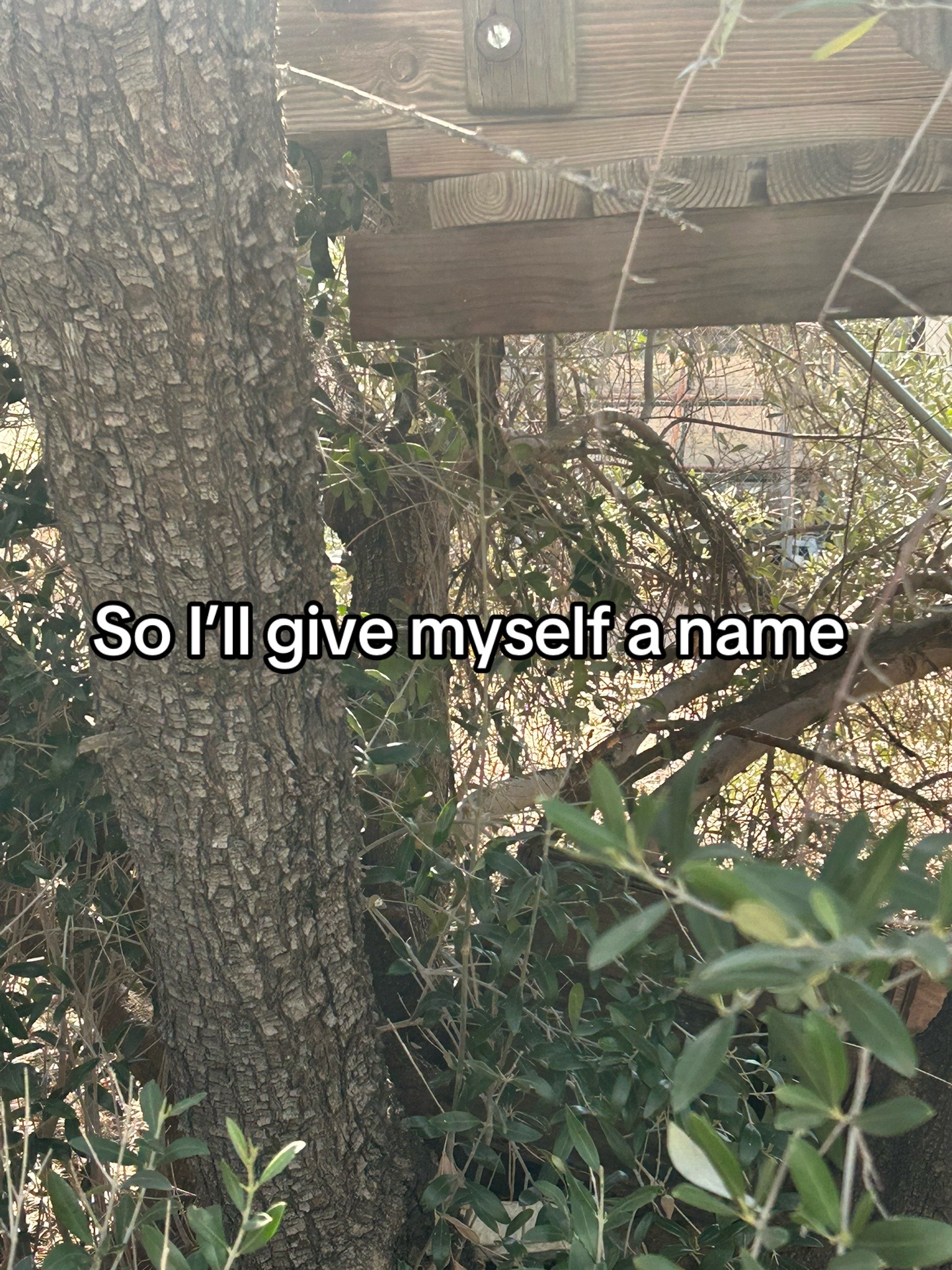 @⊹ . ݁˖ ┊ᥣᥙkᥲ ₍^. .^₎