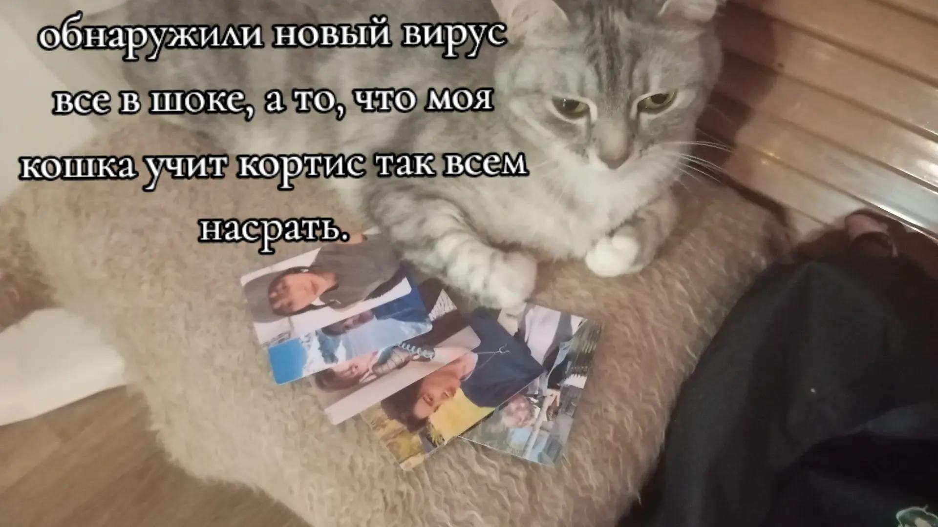 @Чхʙᴇɯᴋᴀᶰᶦᵍʰᵗ🌃||7-1=0