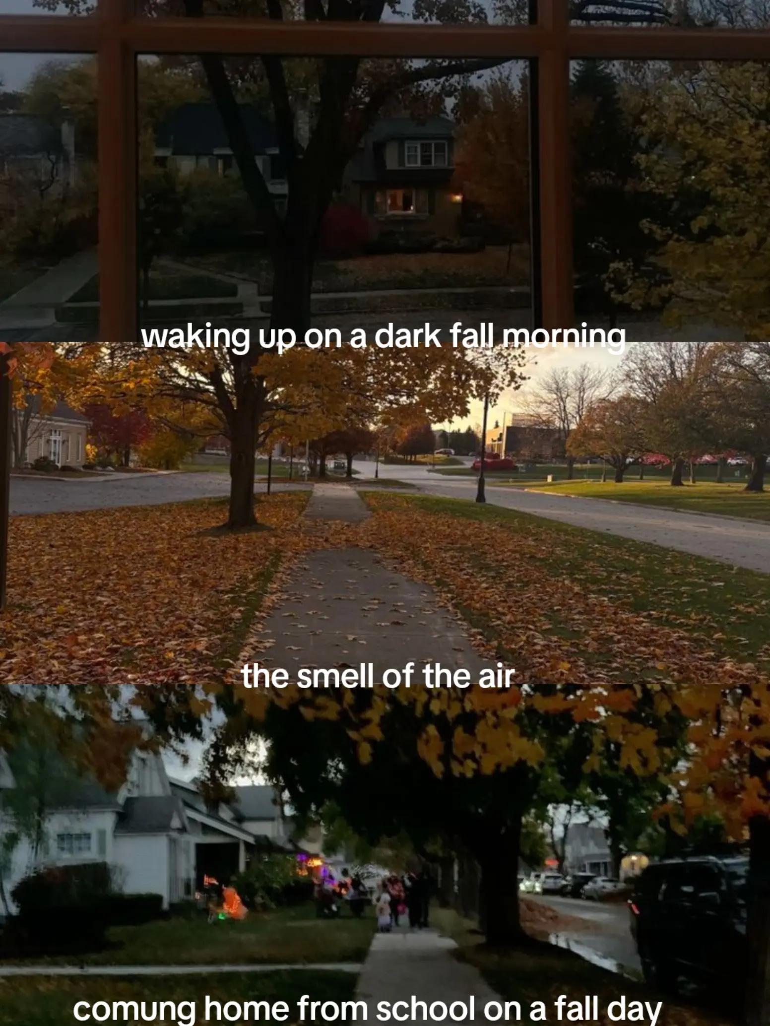 @FrightToFestive