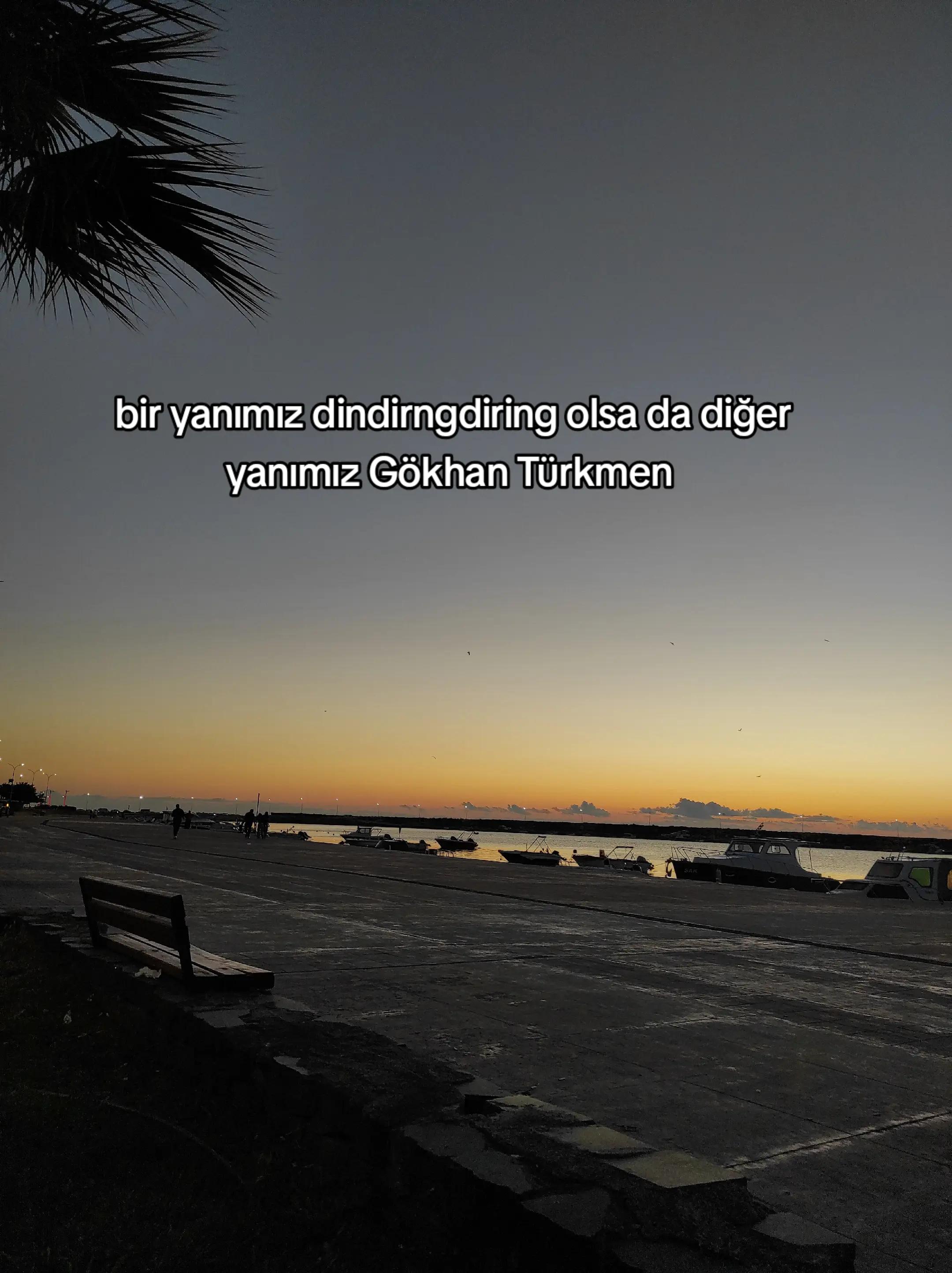 @arzukrsln