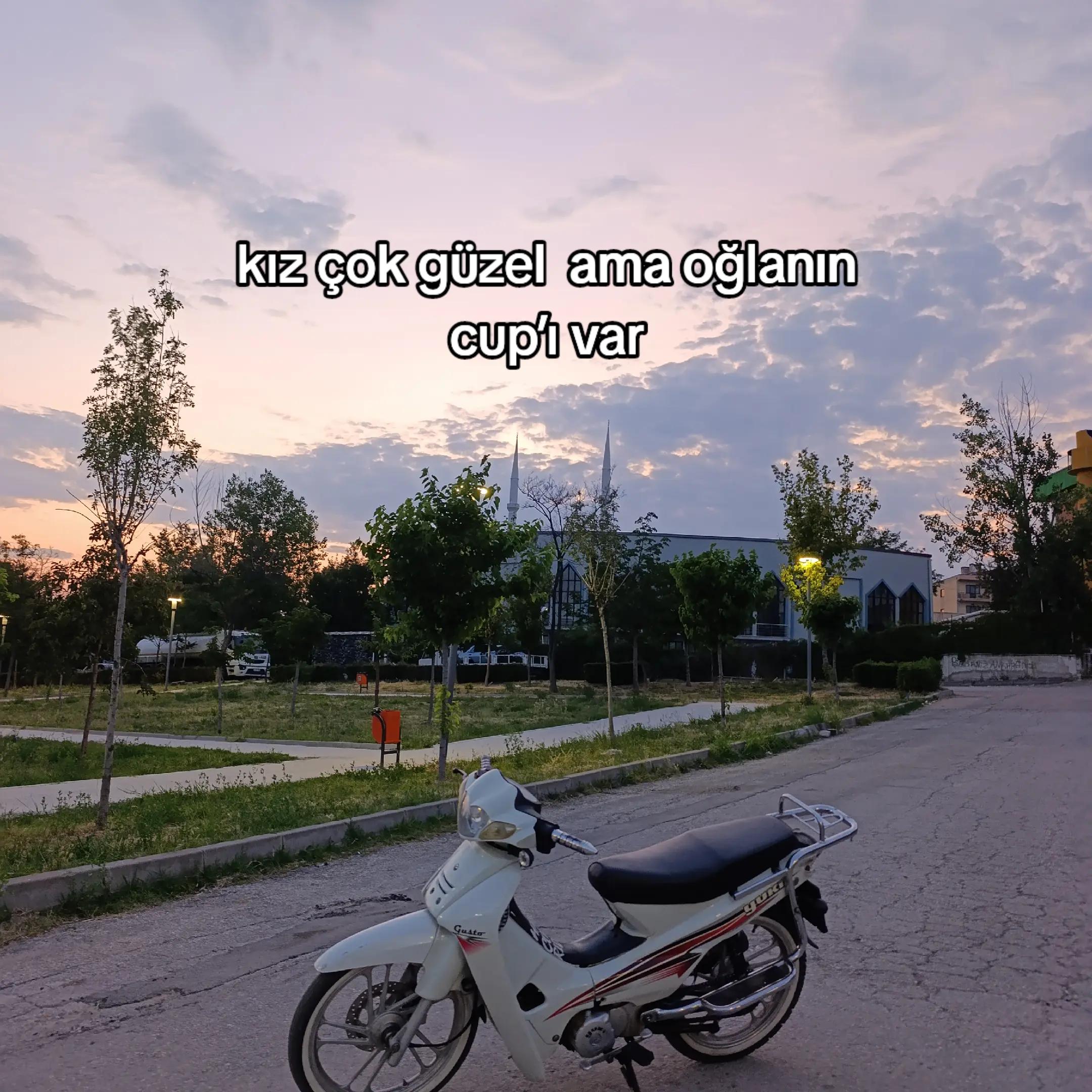@Haydar uzun✍️