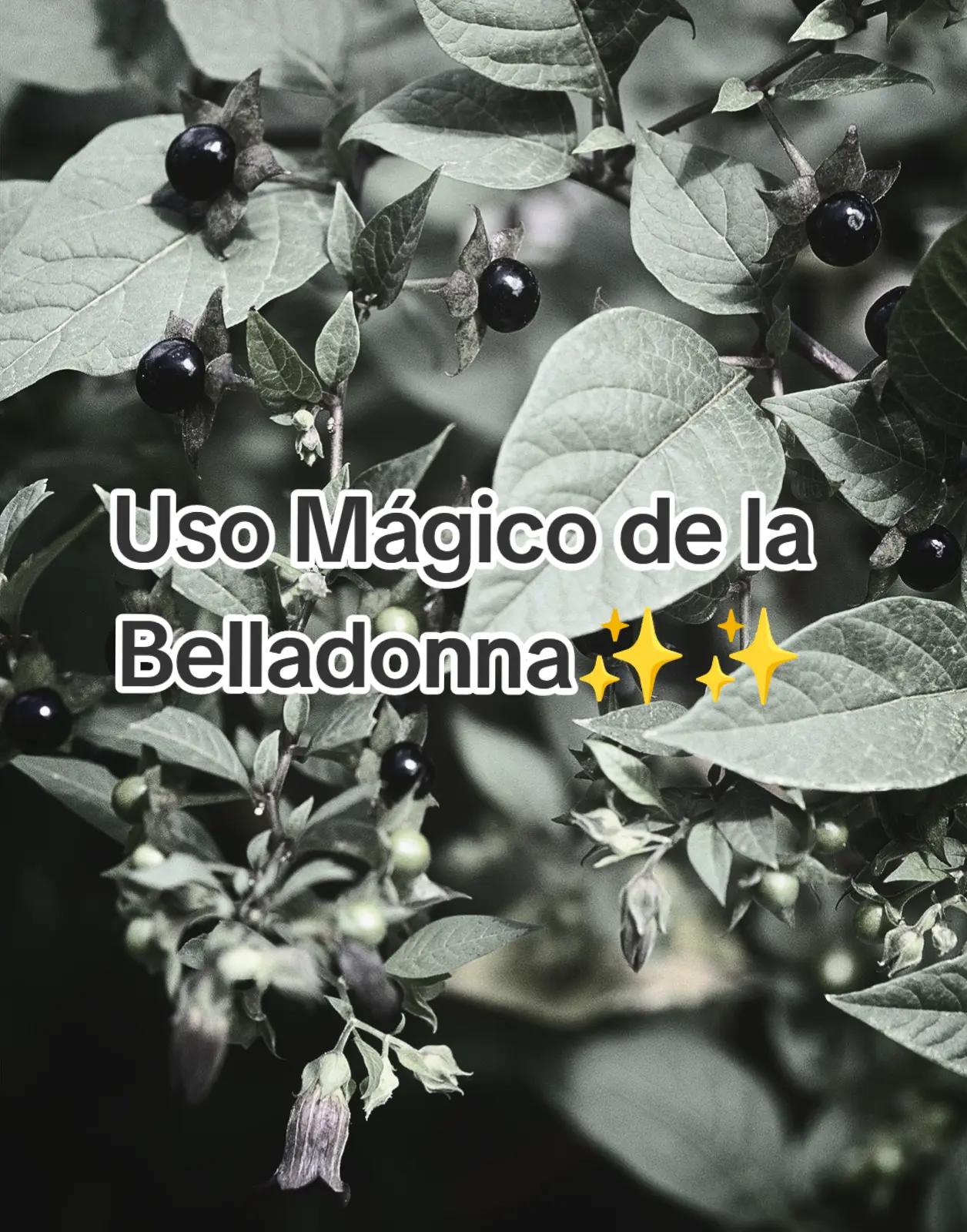 @labrujadesastroza