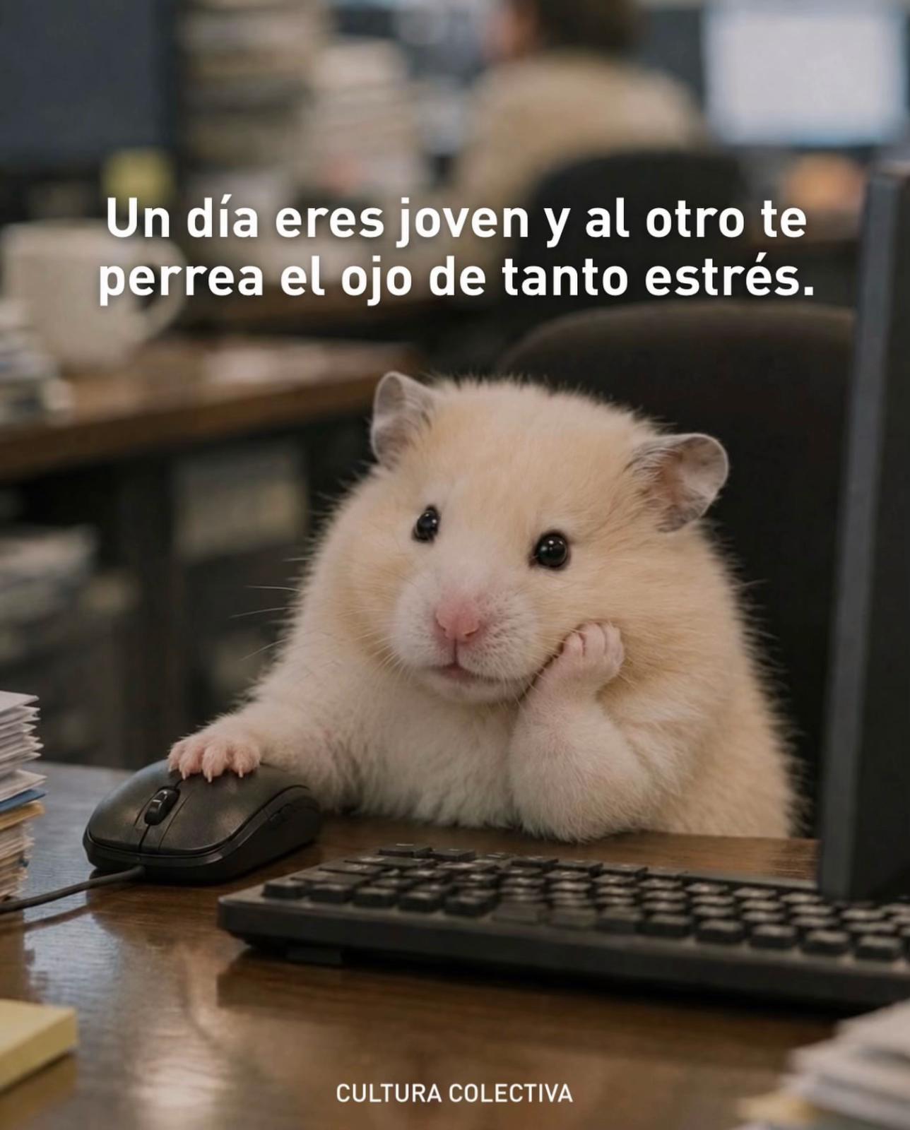 @Cultura Colectiva