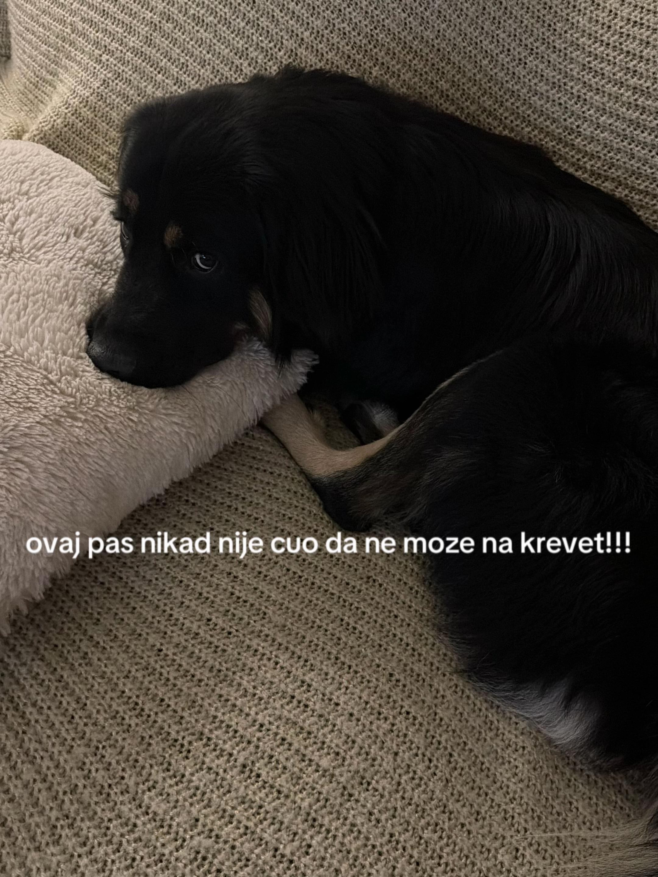 @popivoda.nadja