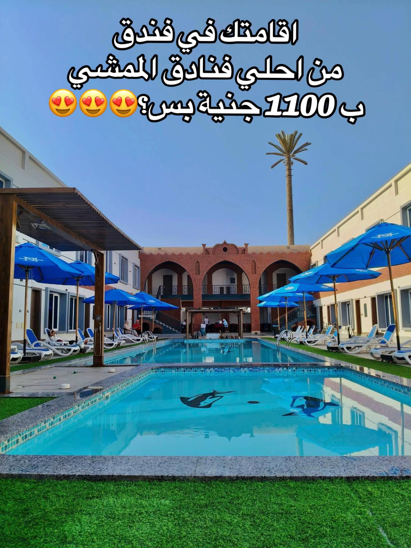 @ZM-TRAVEL🌊