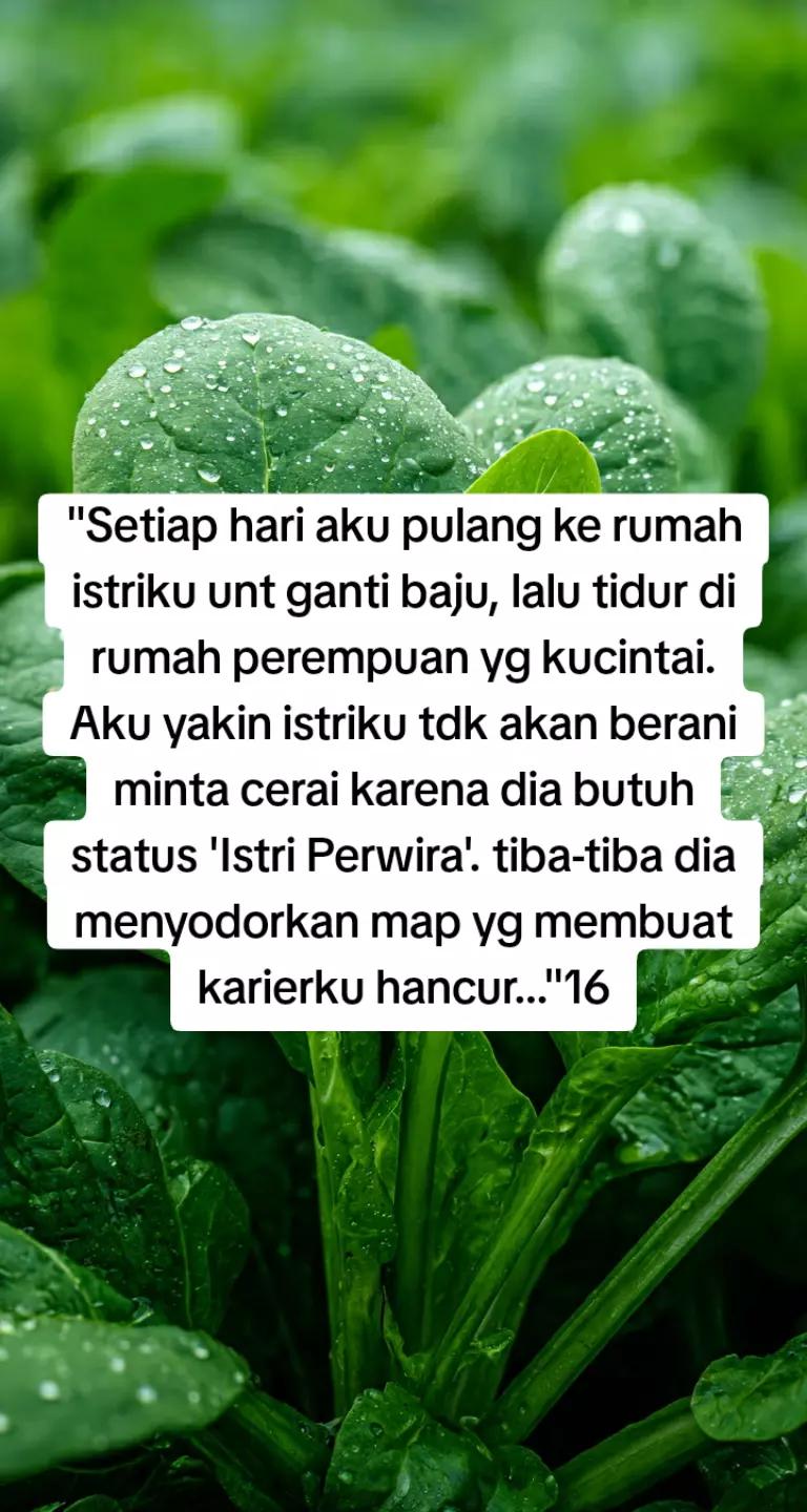 @Promosi Novel Online
