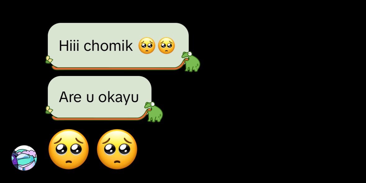 @chomikwozik