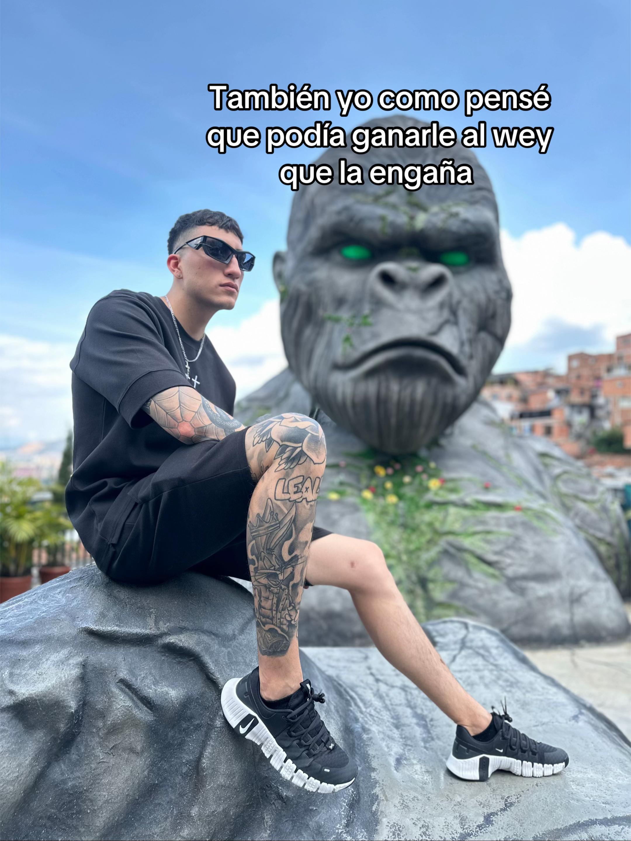 @Tu Flako Vv