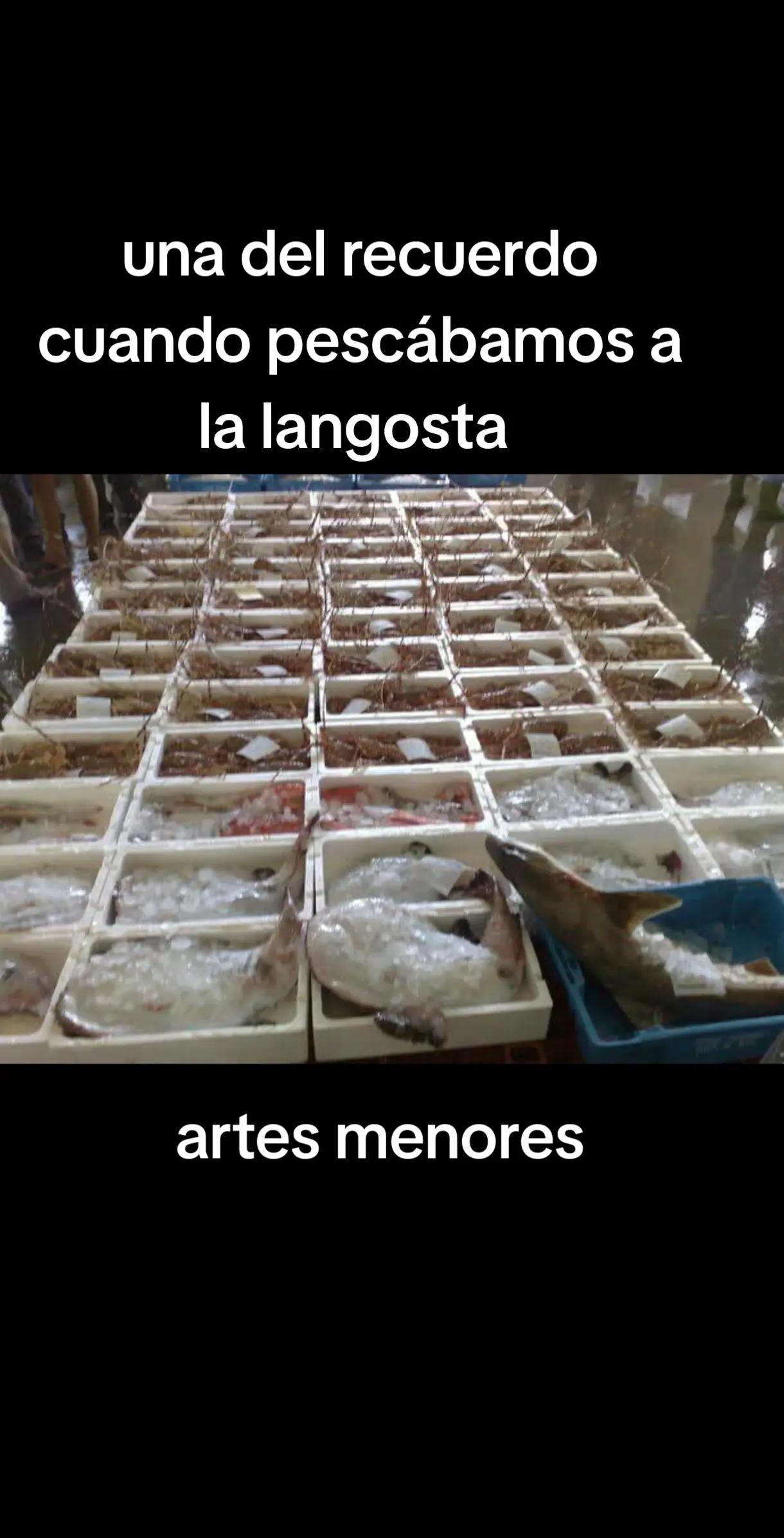 @Francisco Javier Enc