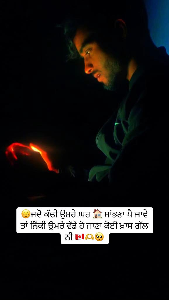 @vehlijanta761