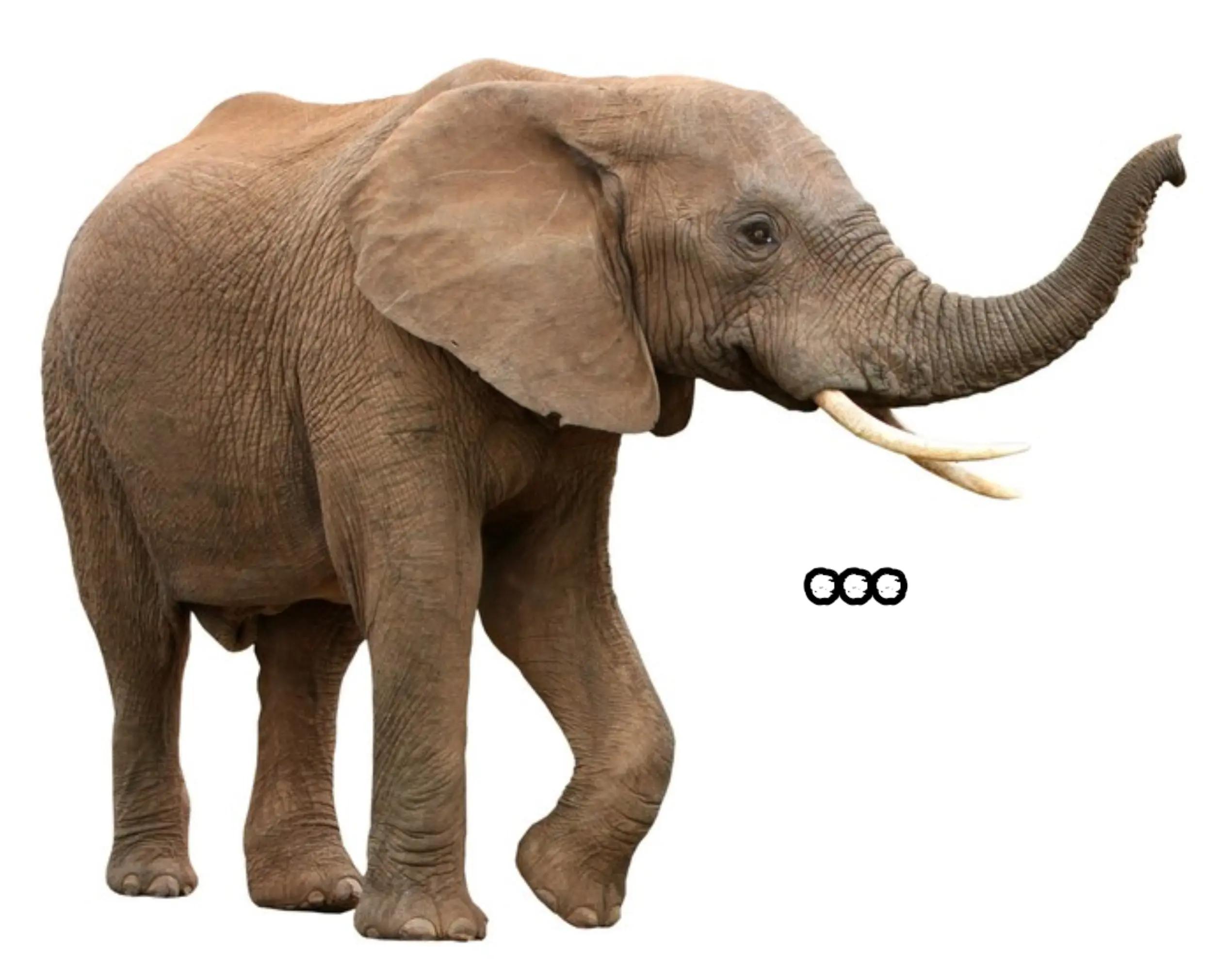 @𝗗𝗮𝗿𝗸