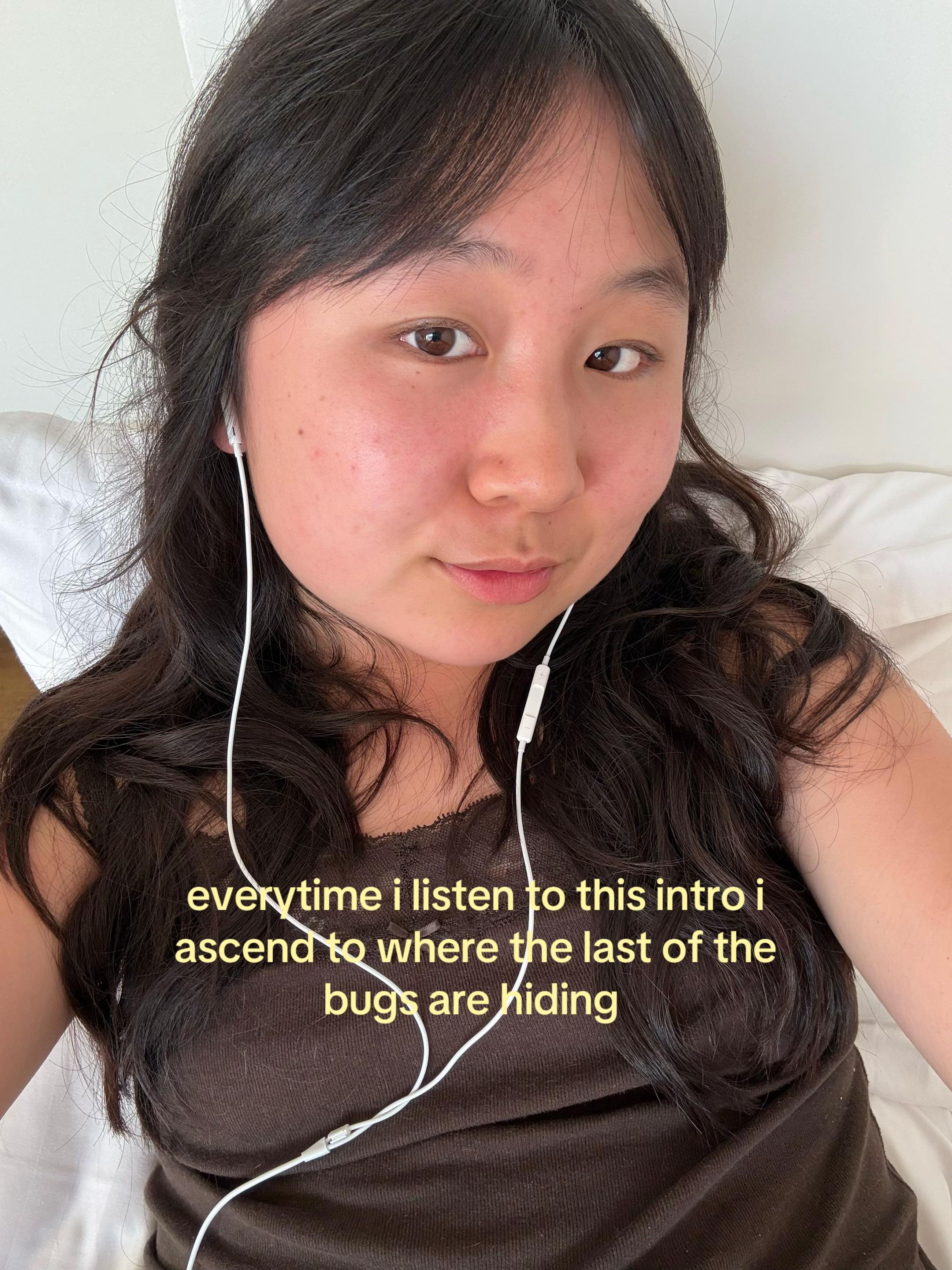 @silla 🐞