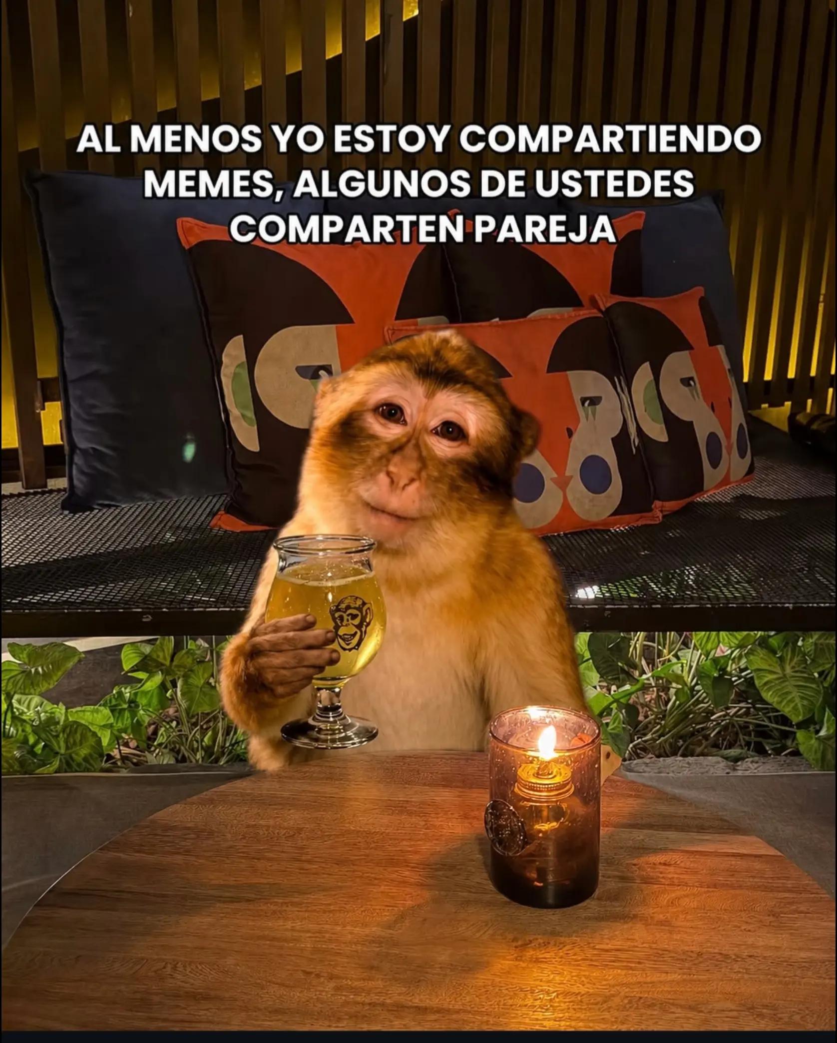 @Anita🦋